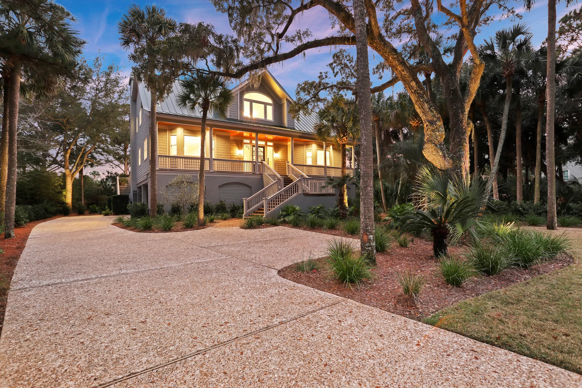 Piping Plover - Image 45