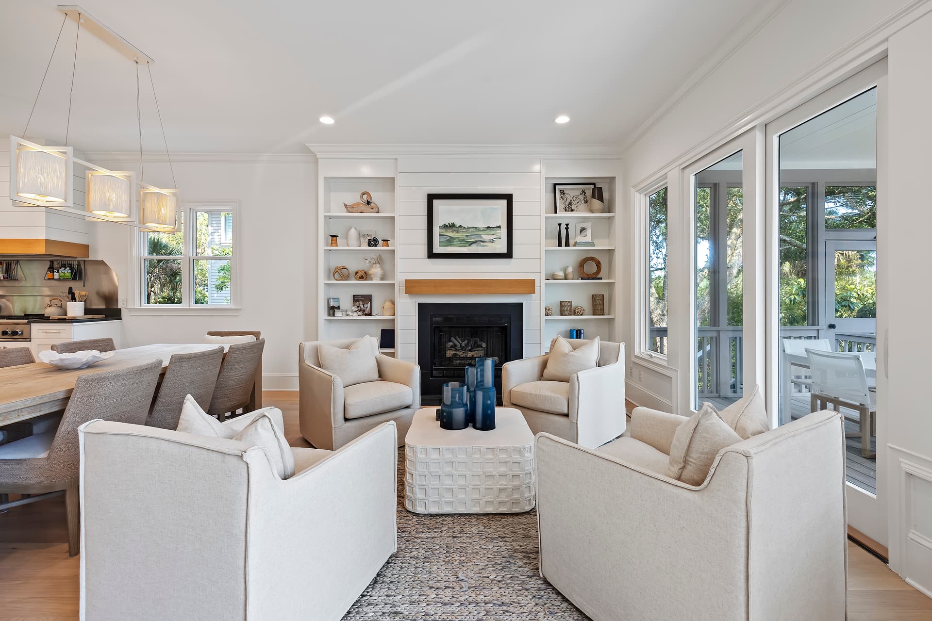 Piping Plover - Image 7