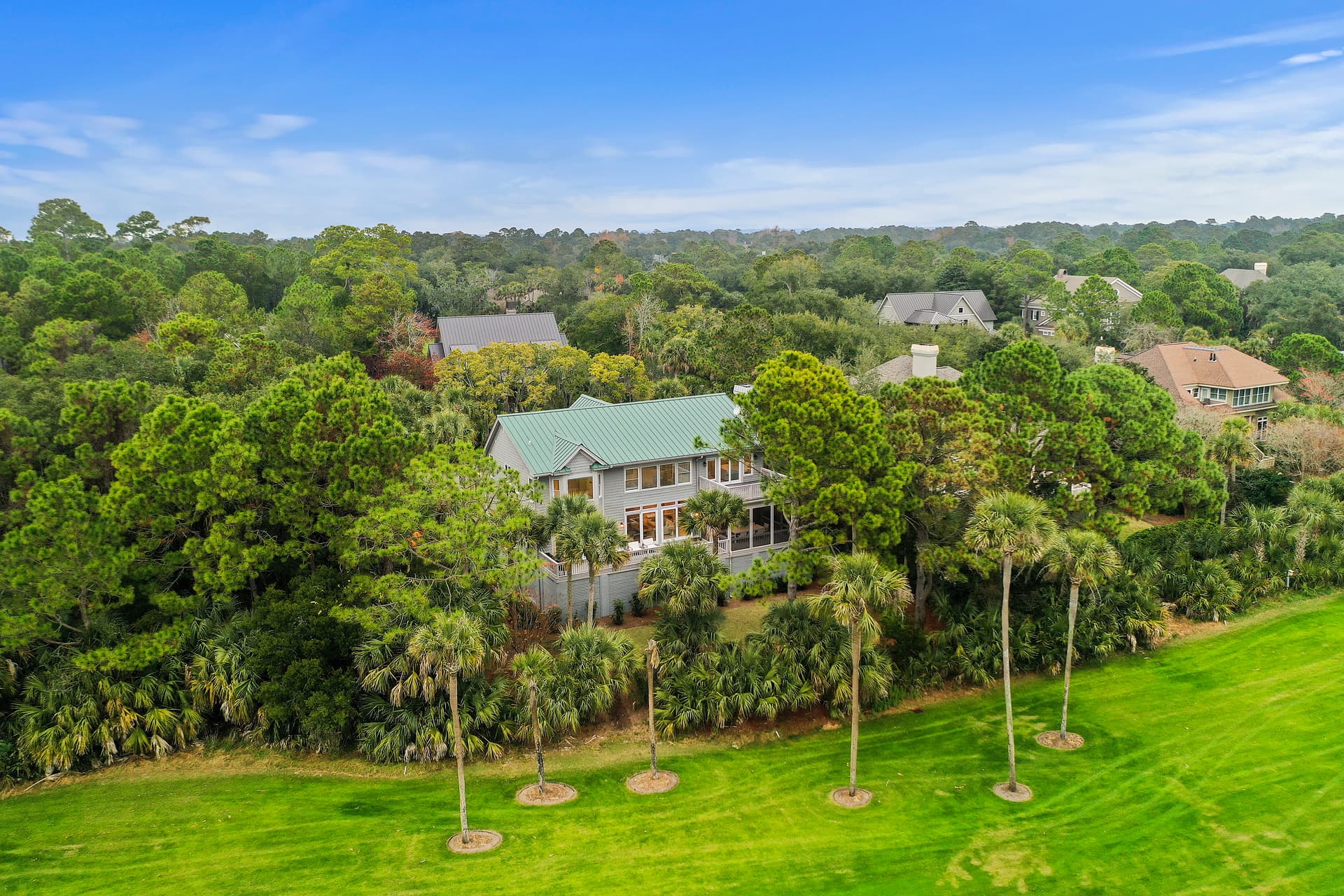 Piping Plover - Image 43