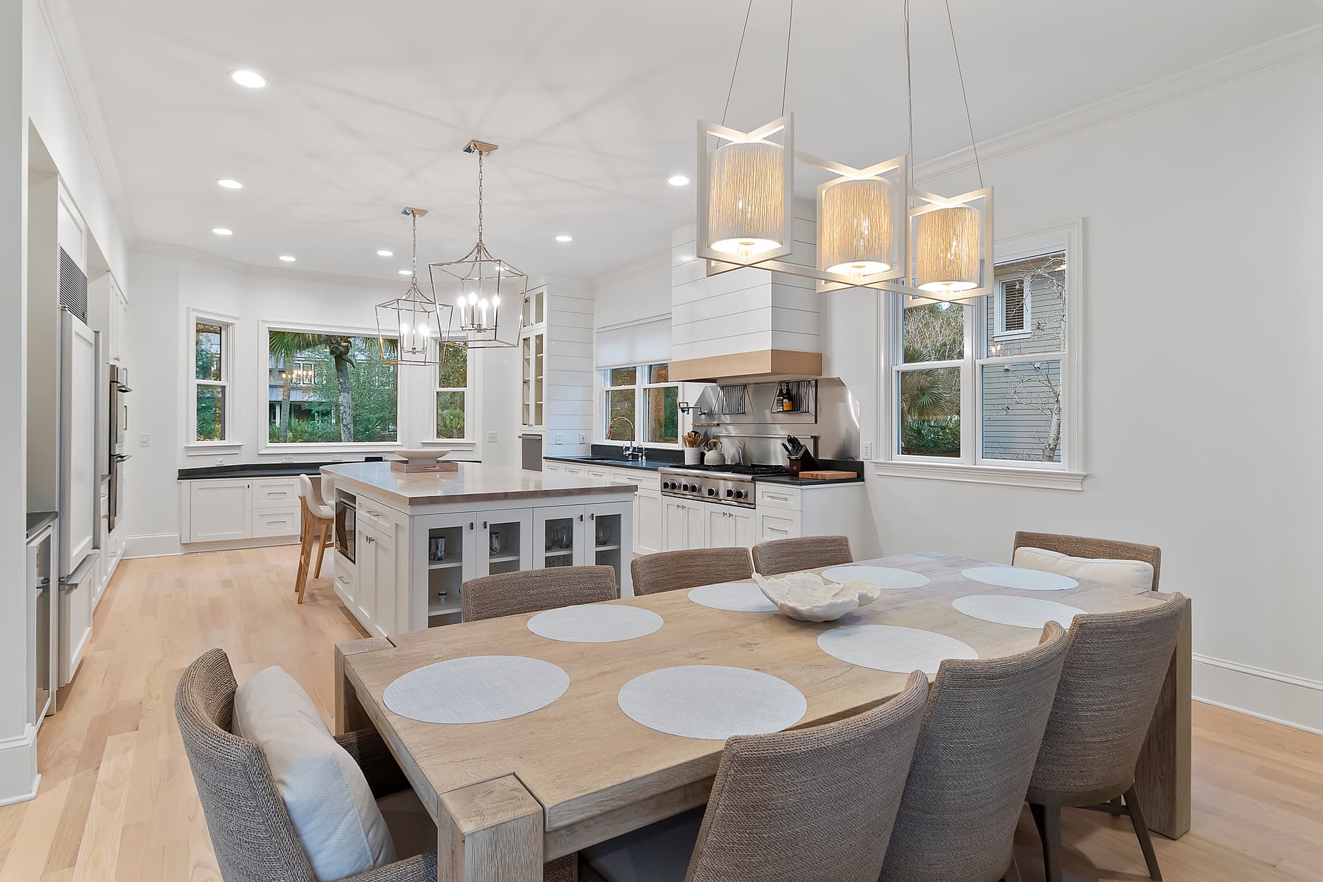 Piping Plover - Image 5