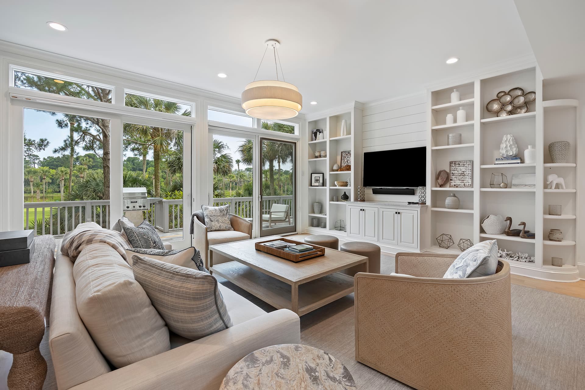 Piping Plover - Image 2