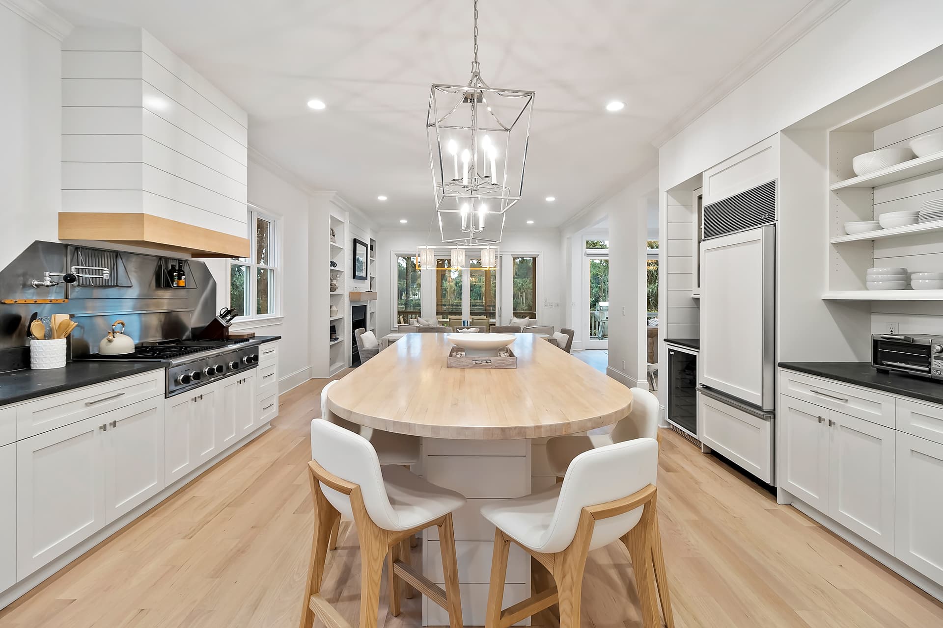 Piping Plover - Image 11