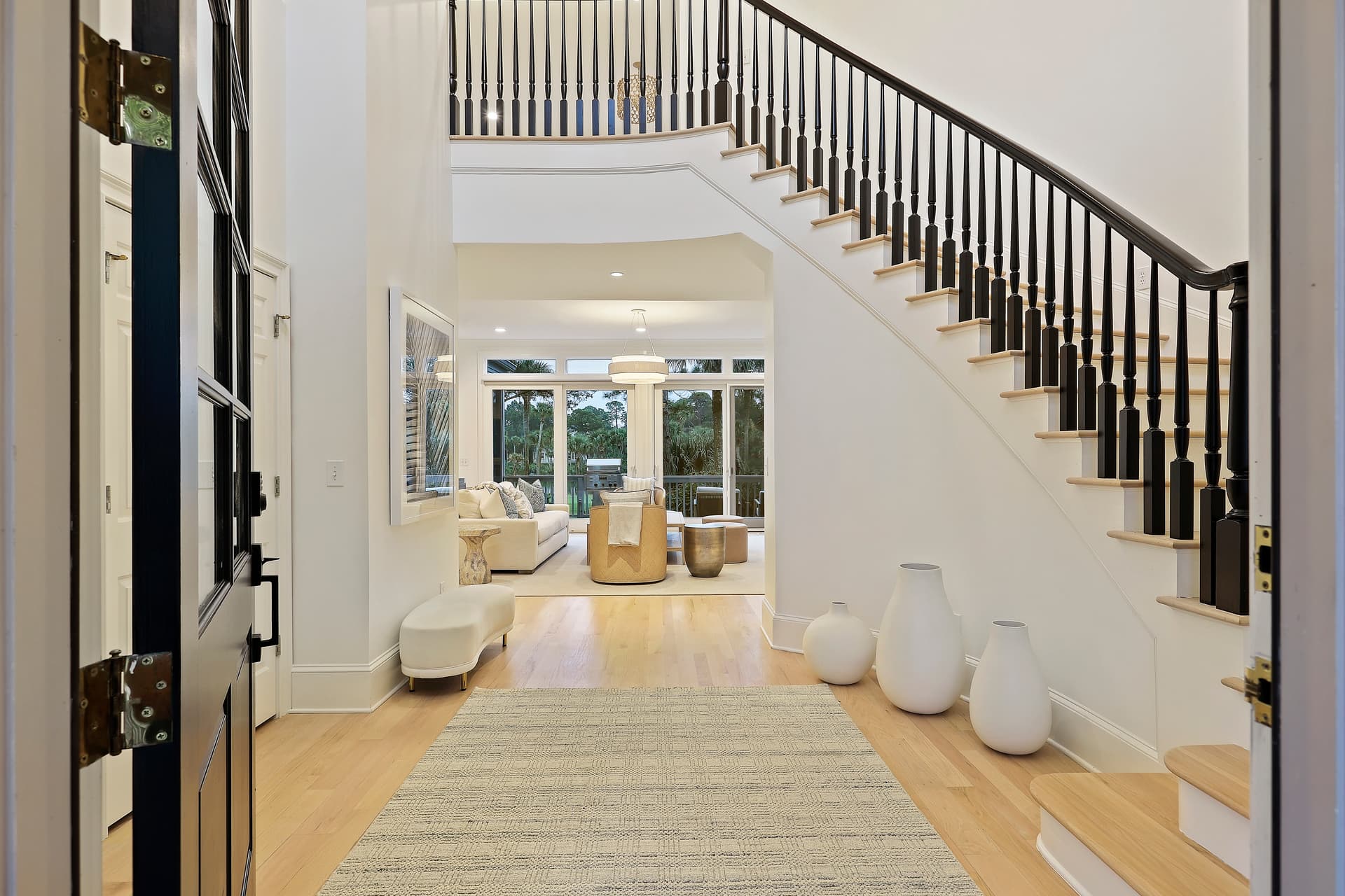 Piping Plover - Image 8