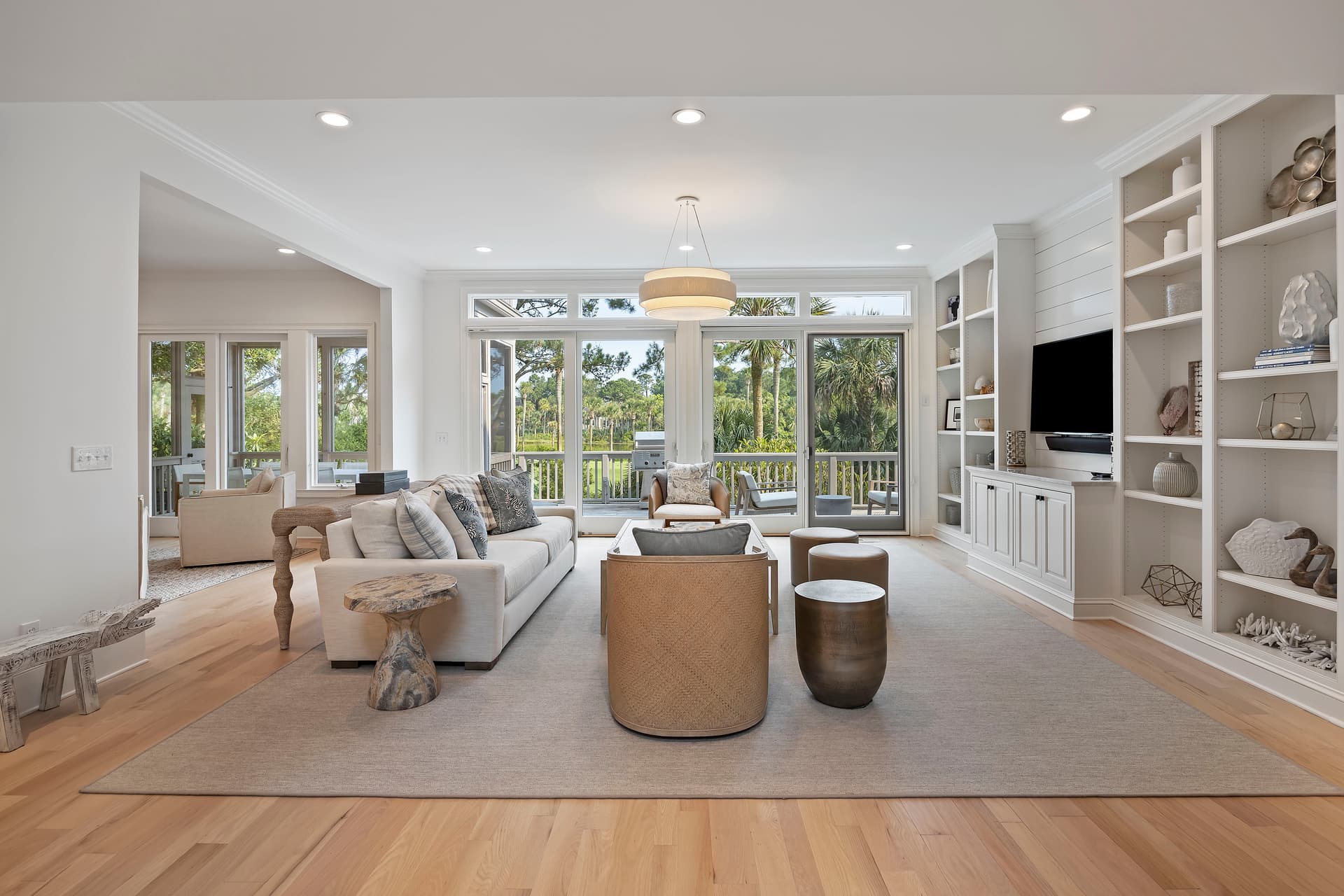 Piping Plover - Image 4