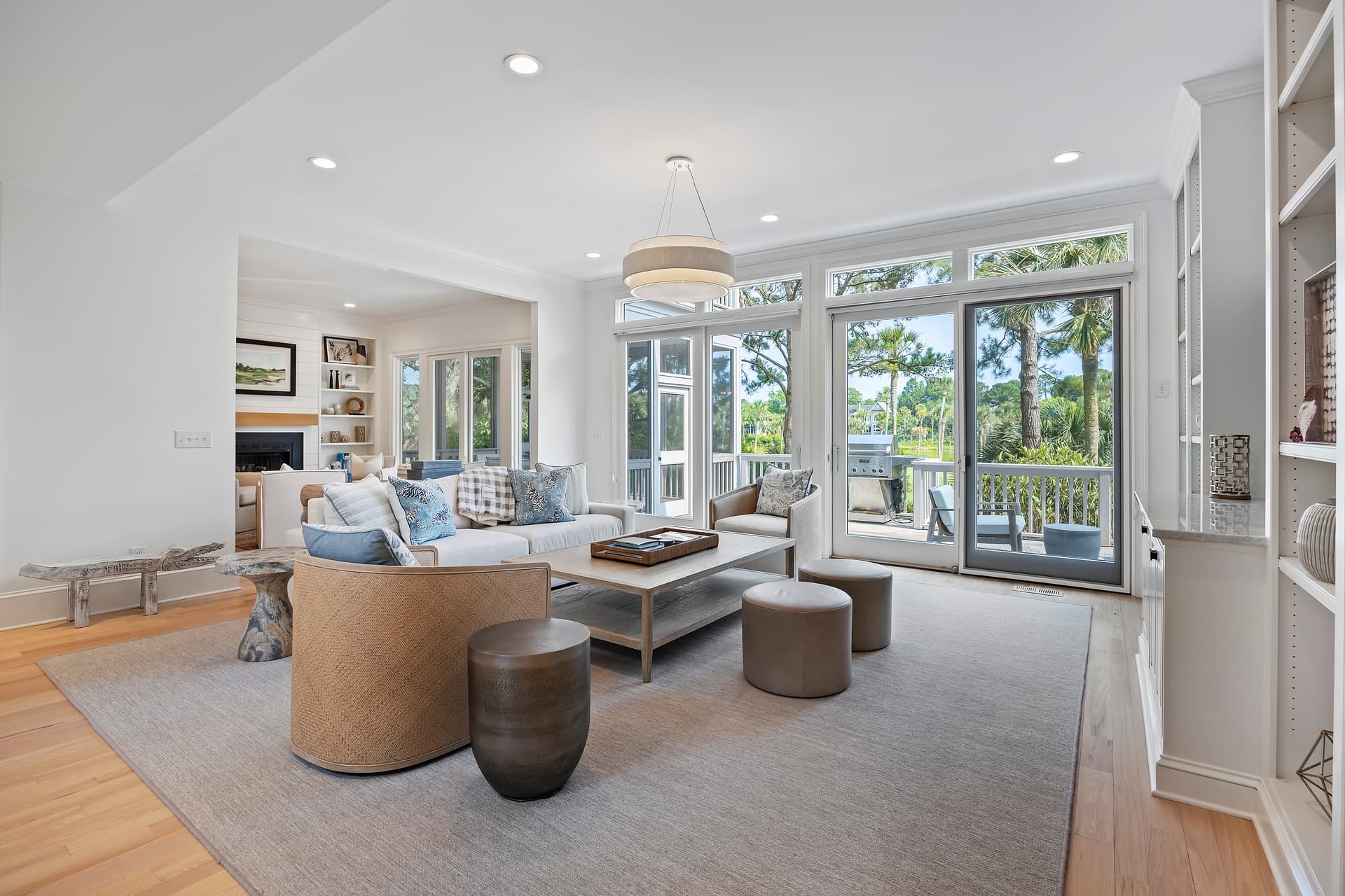 Piping Plover - Image 3