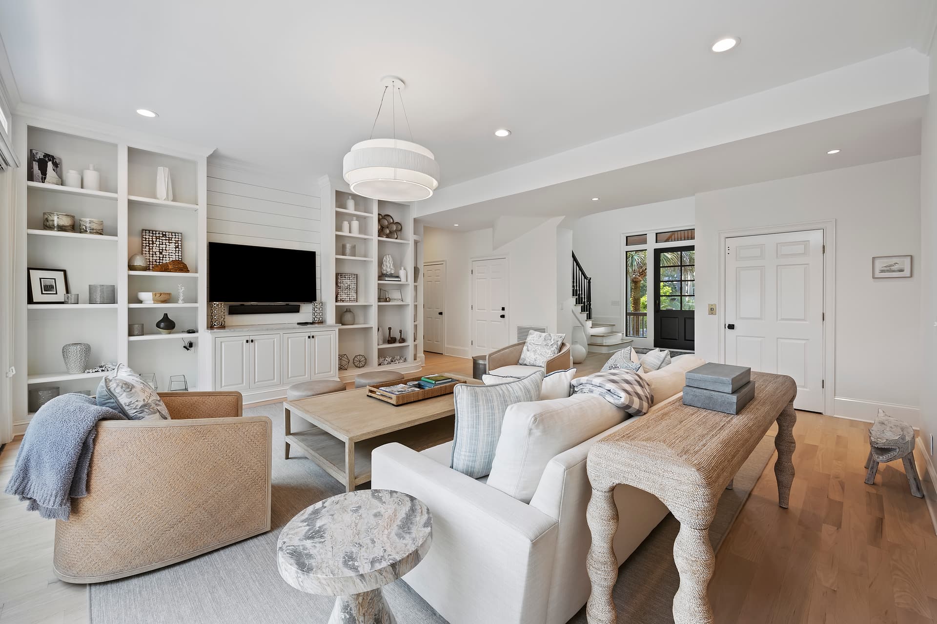 Piping Plover - Image 4