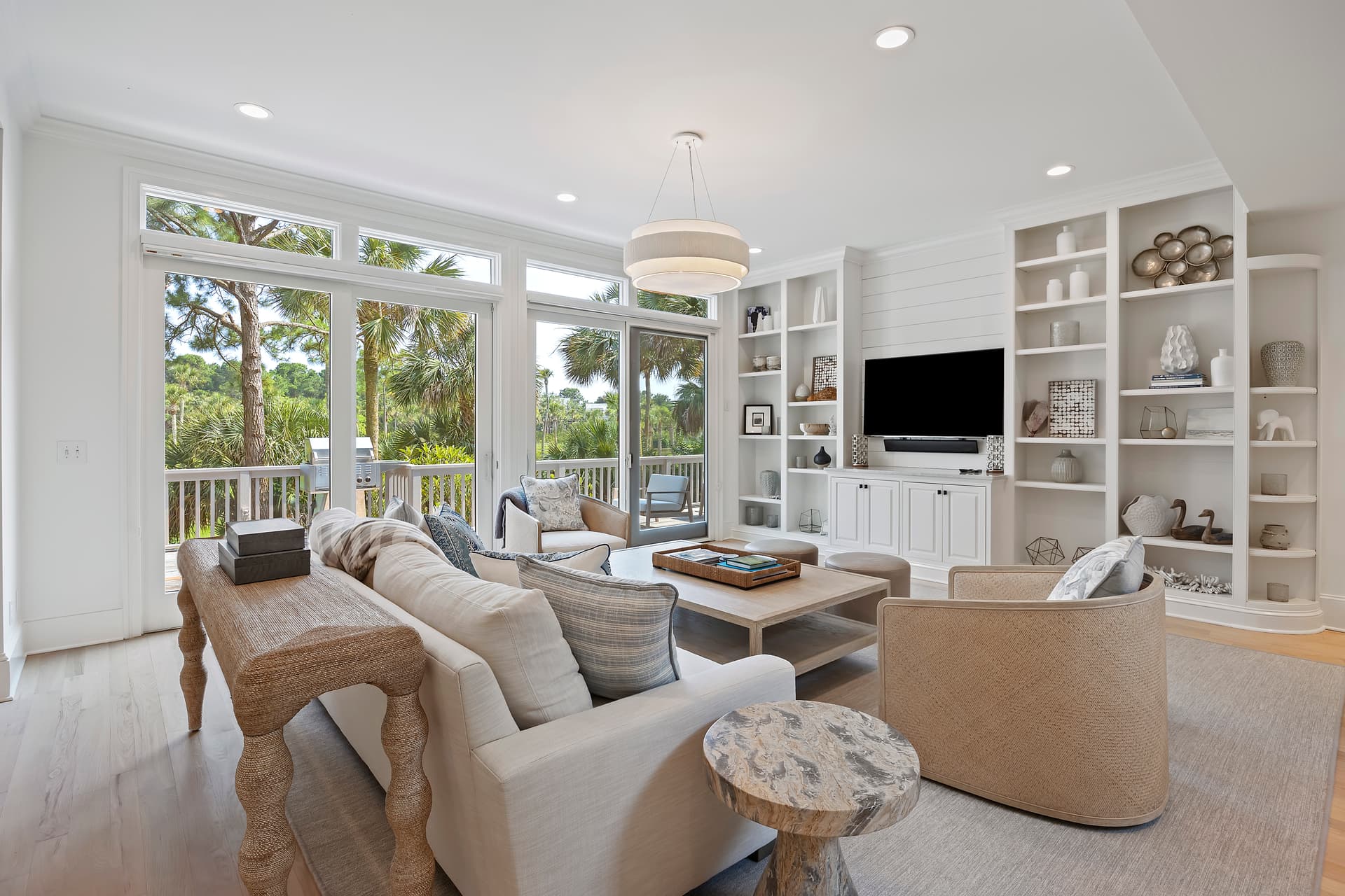 Piping Plover - Image 5