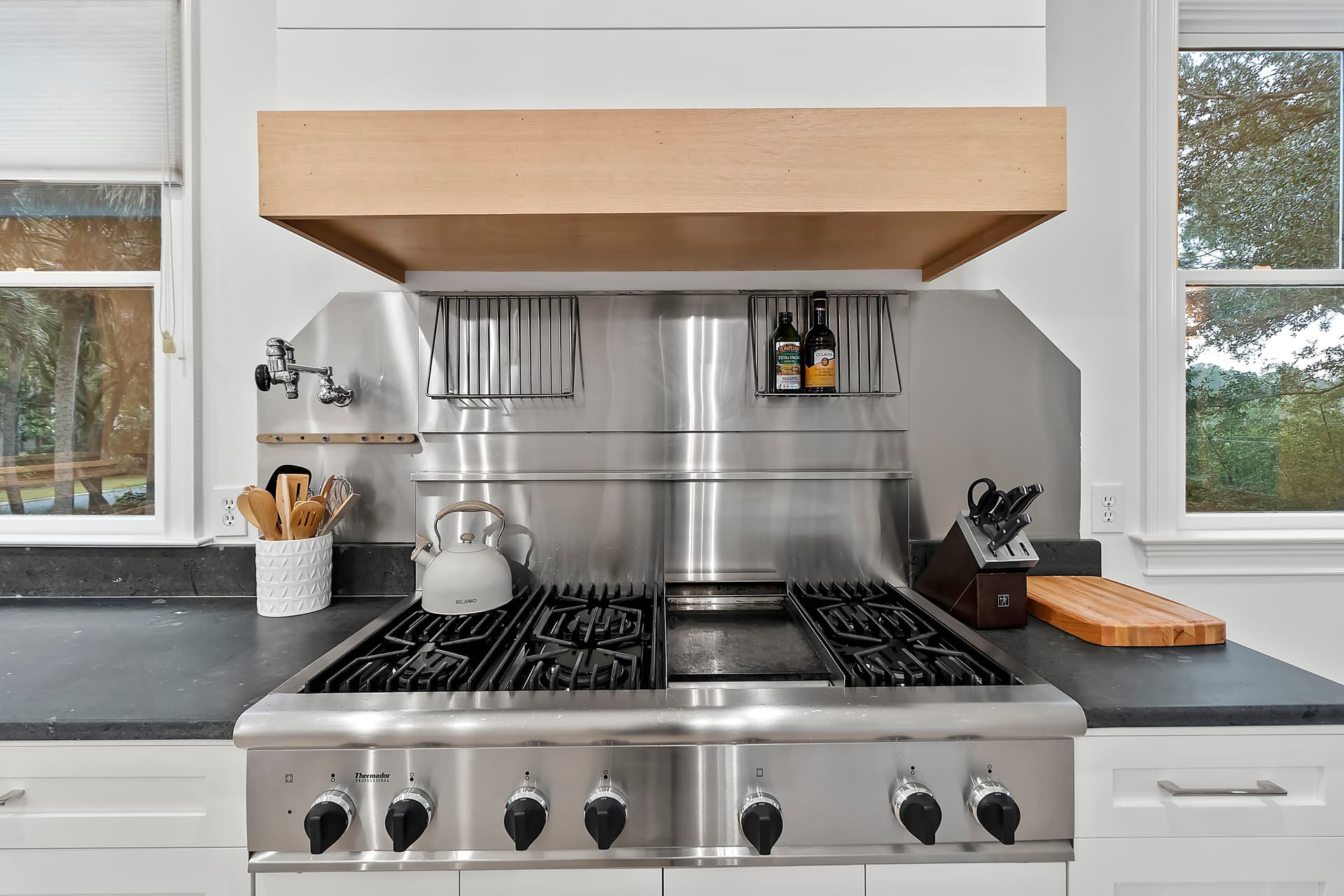 Piping Plover - Image 15