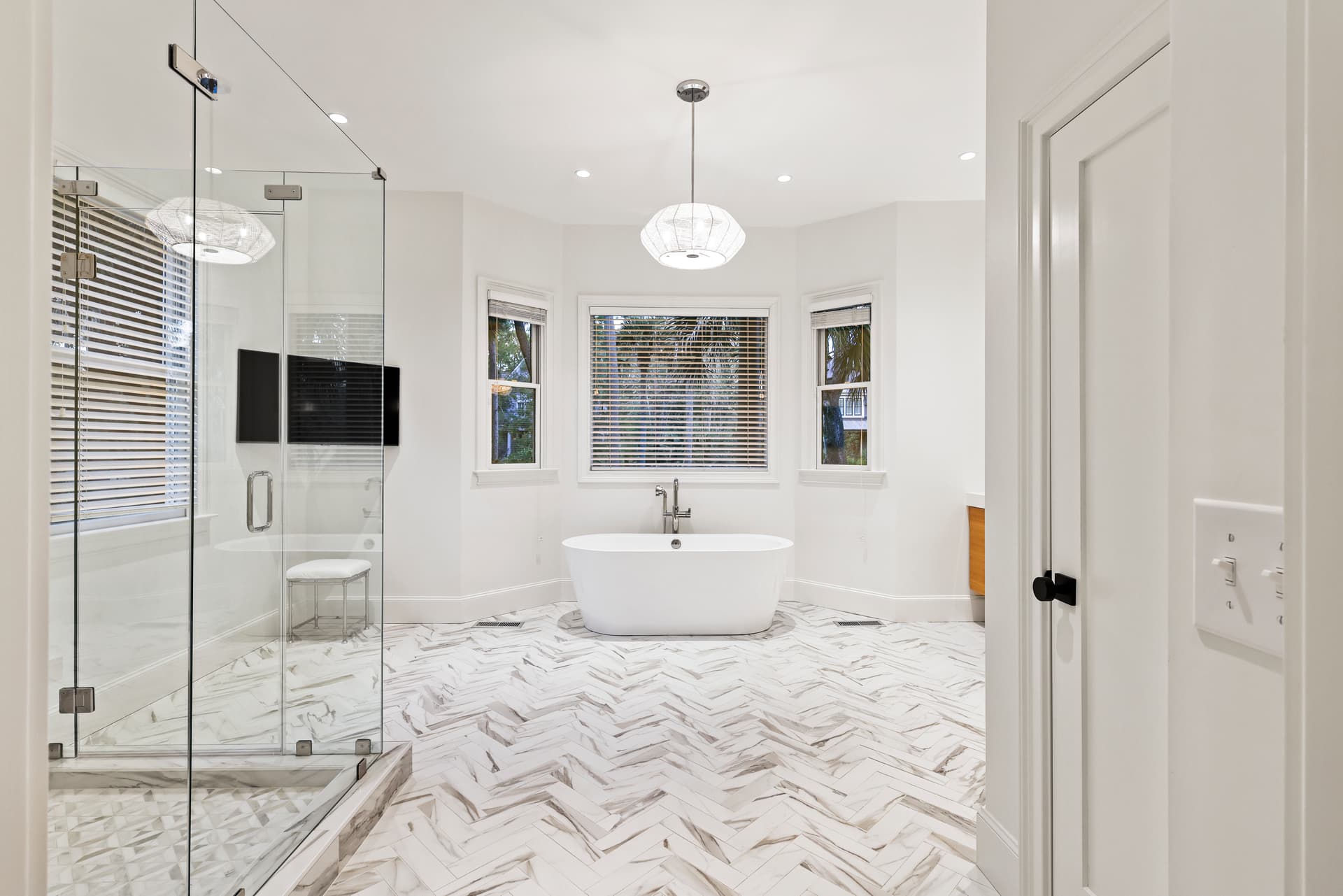 Piping Plover - Image 28