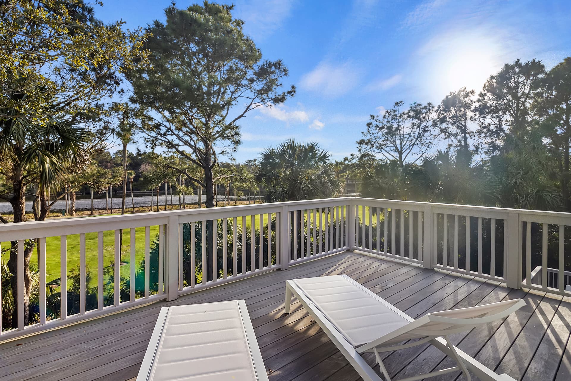 Piping Plover - Image 39