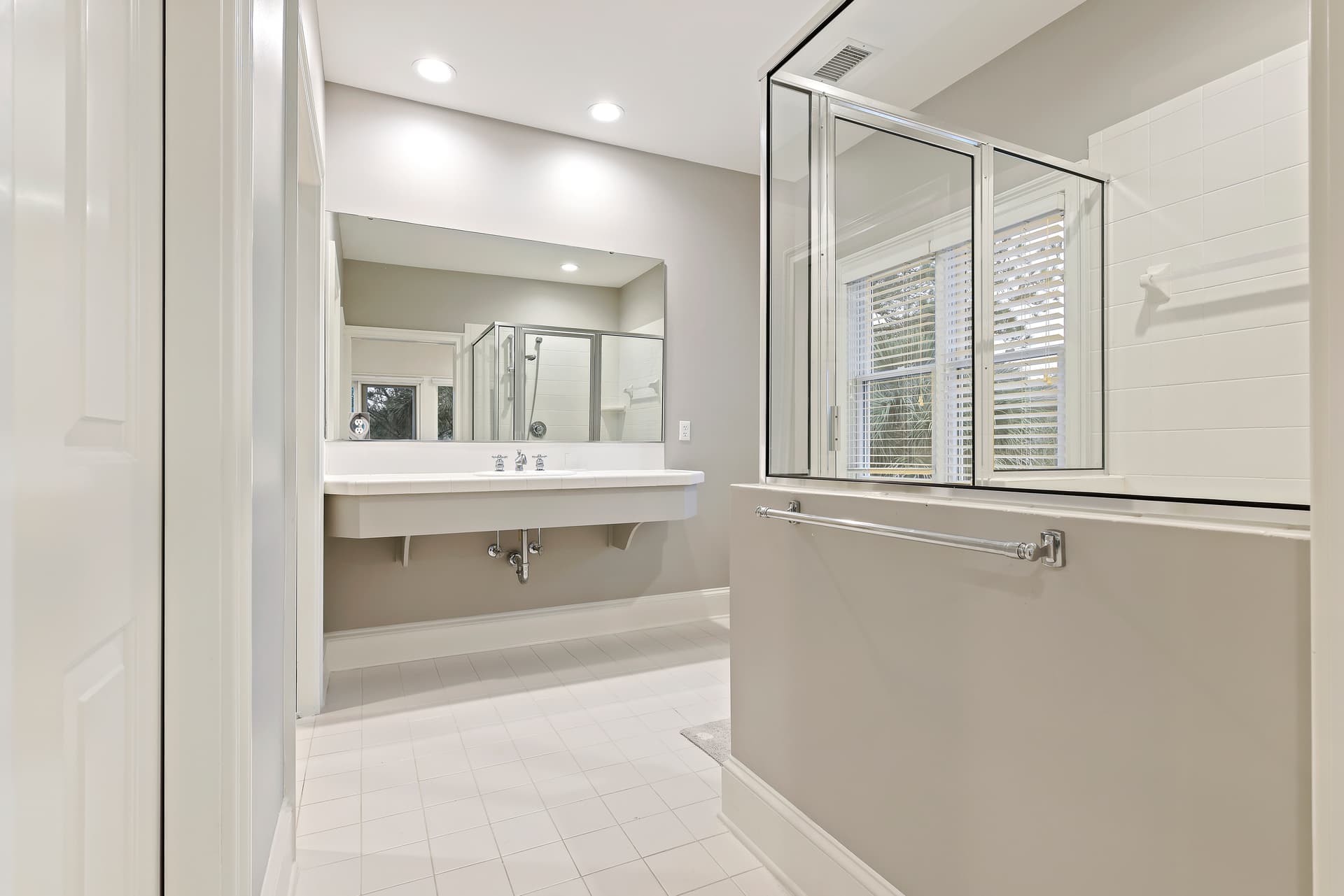 Piping Plover - Image 31