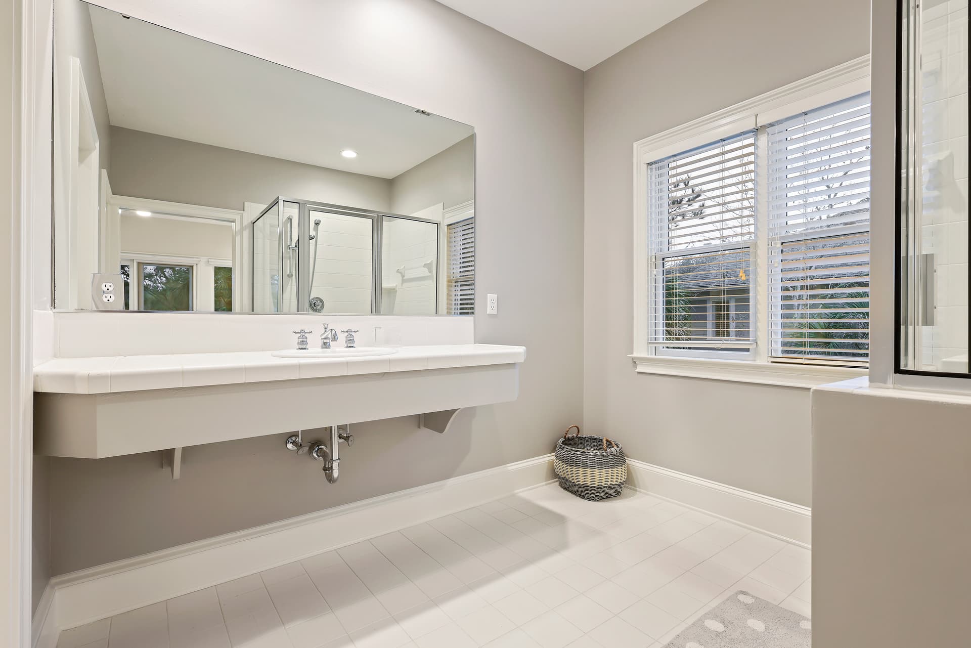 Piping Plover - Image 32