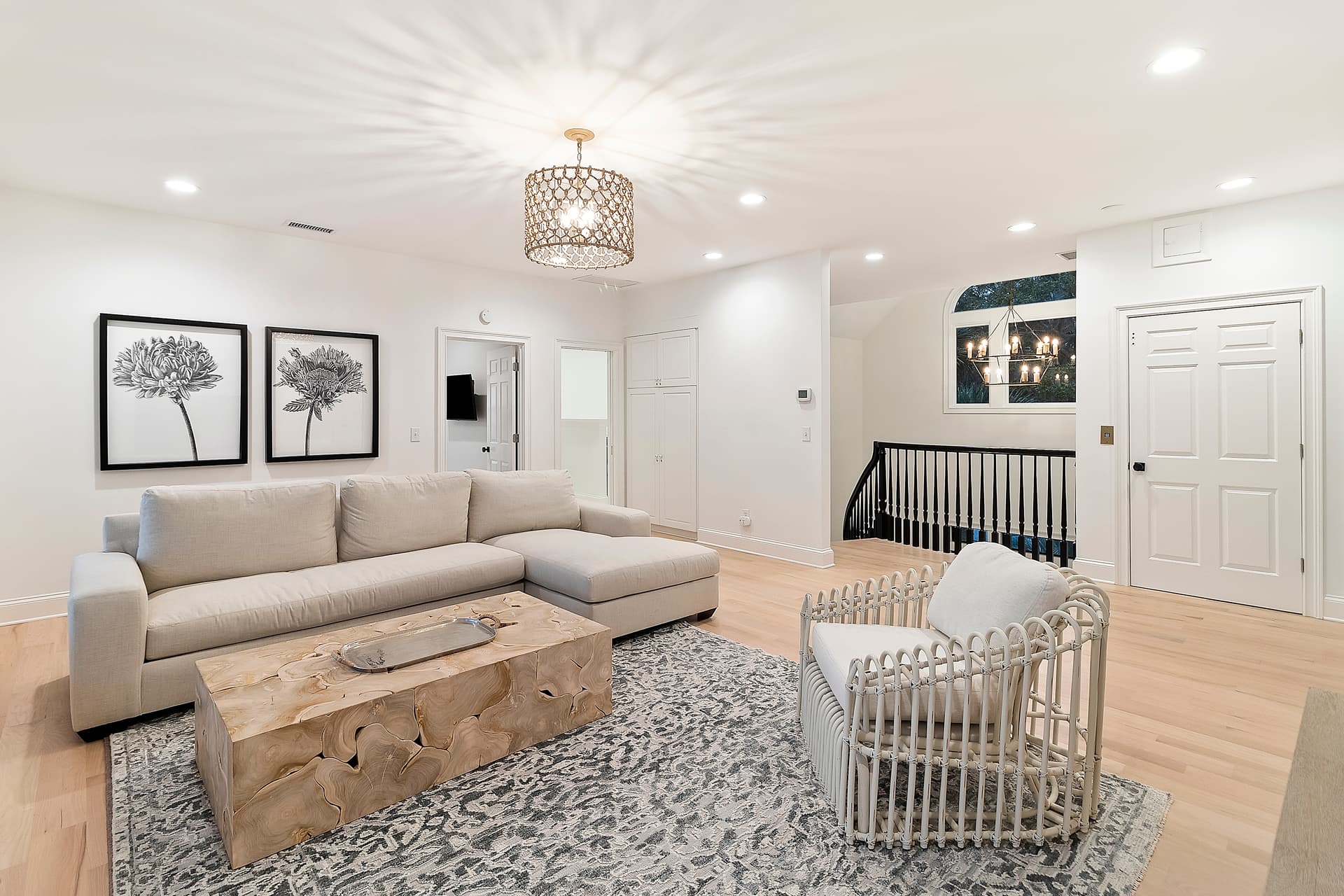 Piping Plover - Image 25