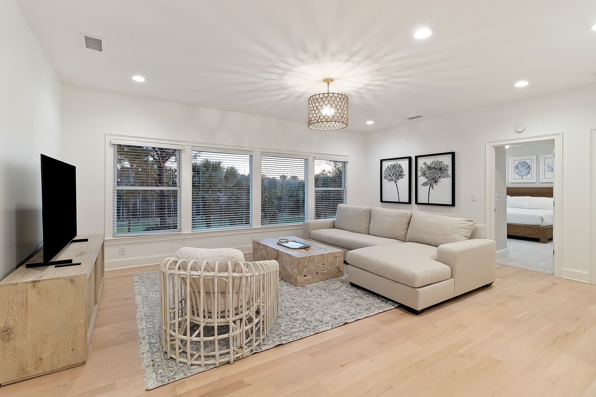 Piping Plover - Image 26