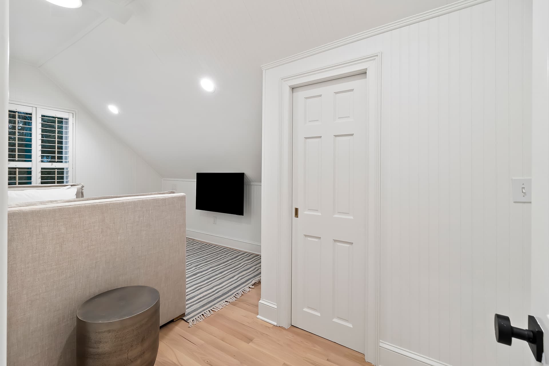 Piping Plover - Image 22