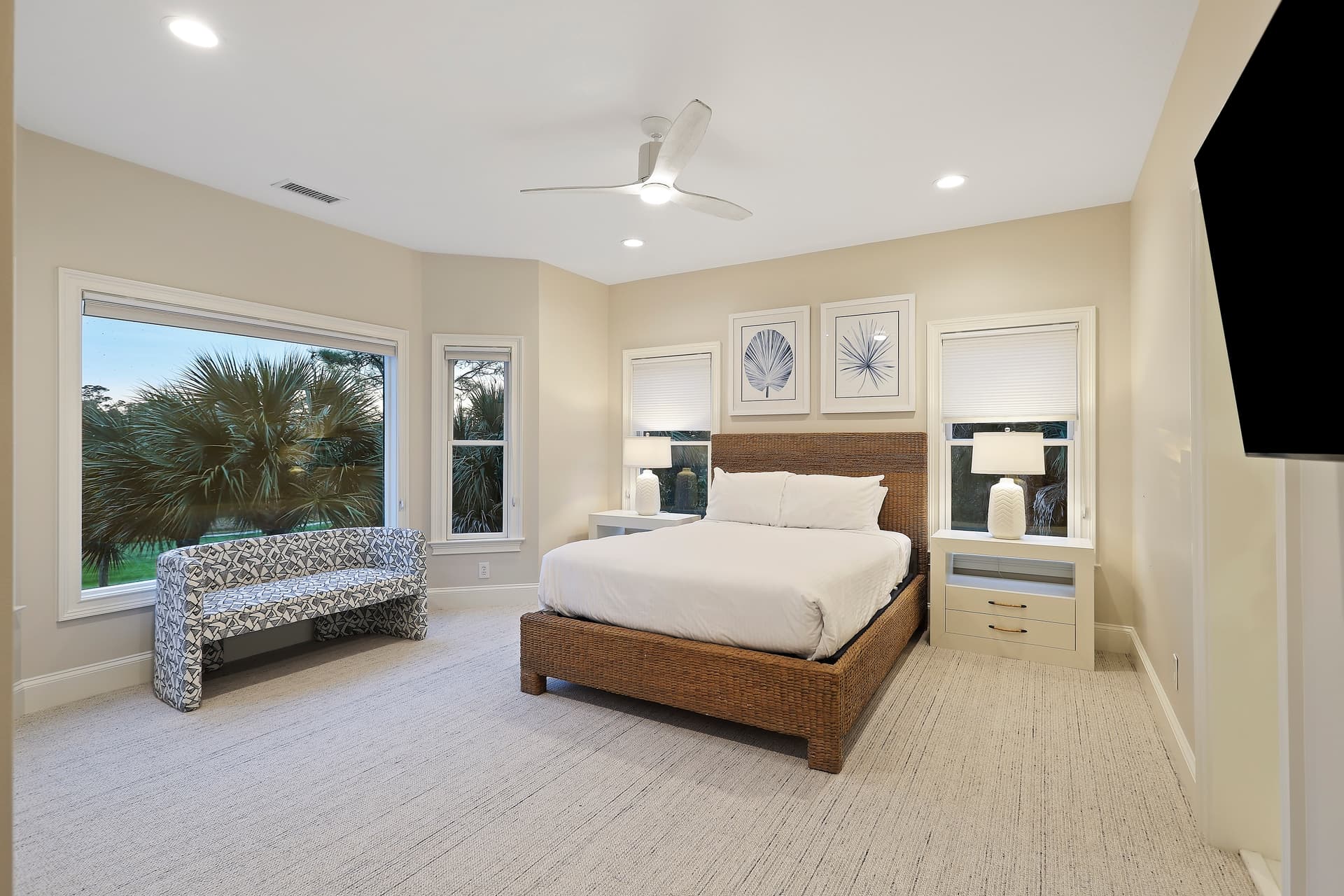 Piping Plover - Image 23