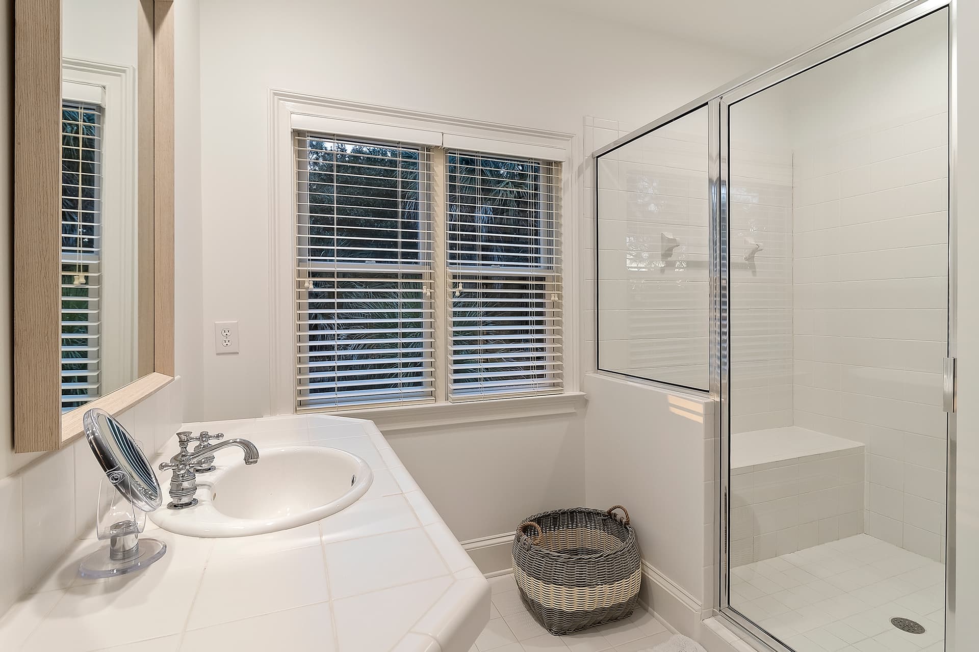 Piping Plover - Image 33