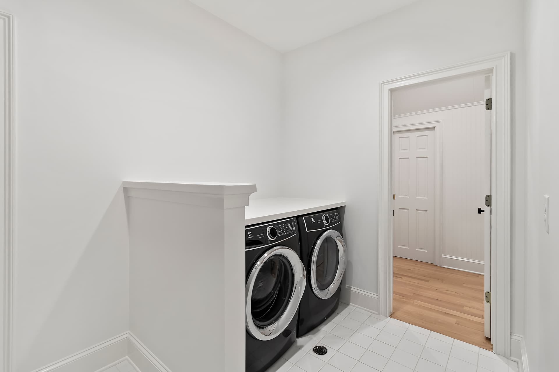 Piping Plover - Image 34