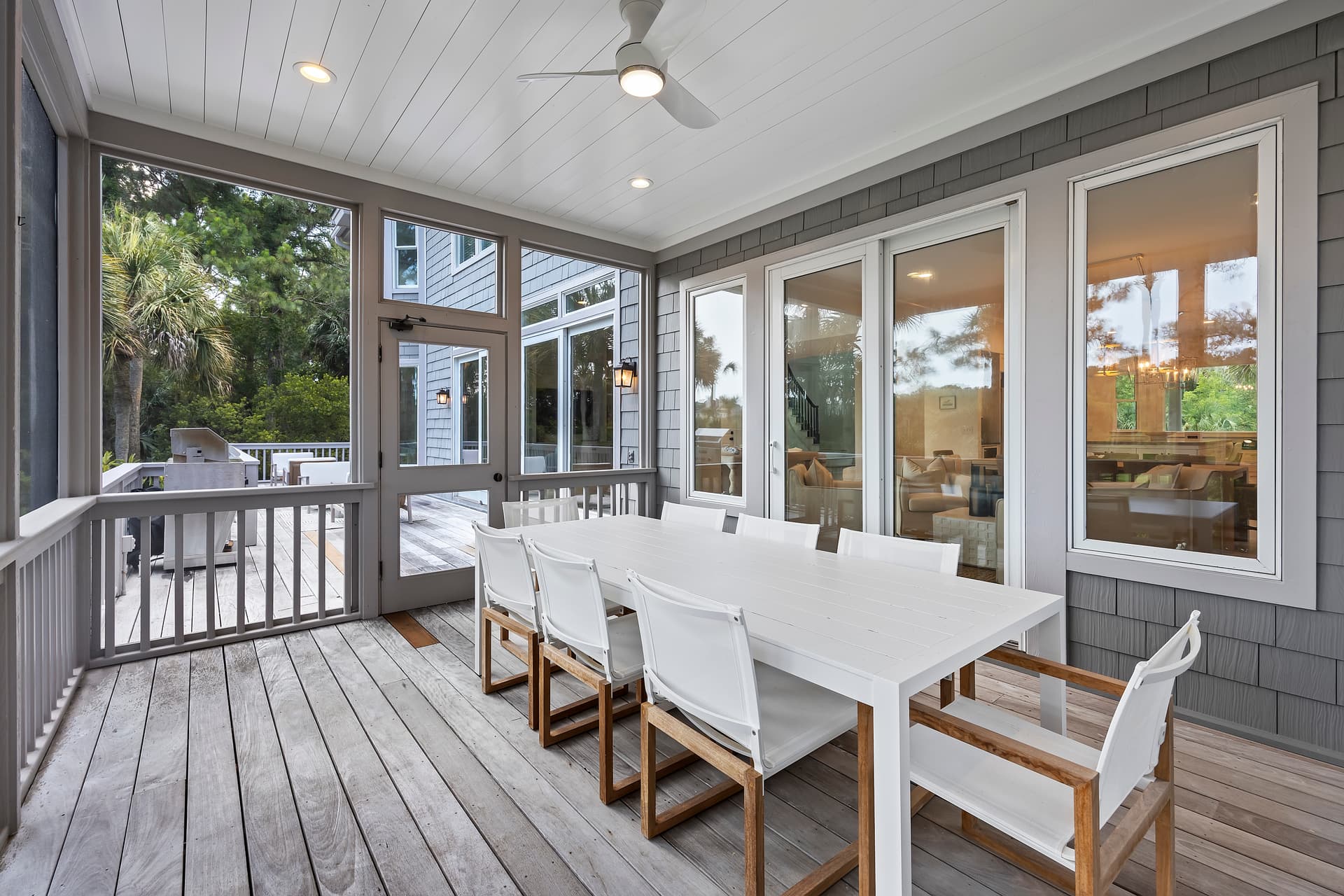 Piping Plover - Image 41