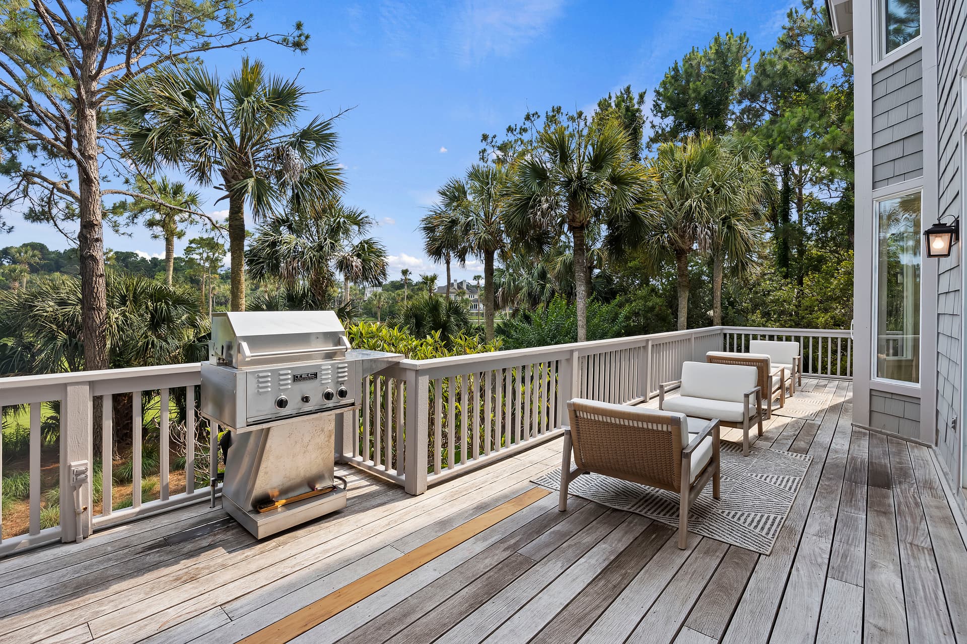 Piping Plover - Image 35