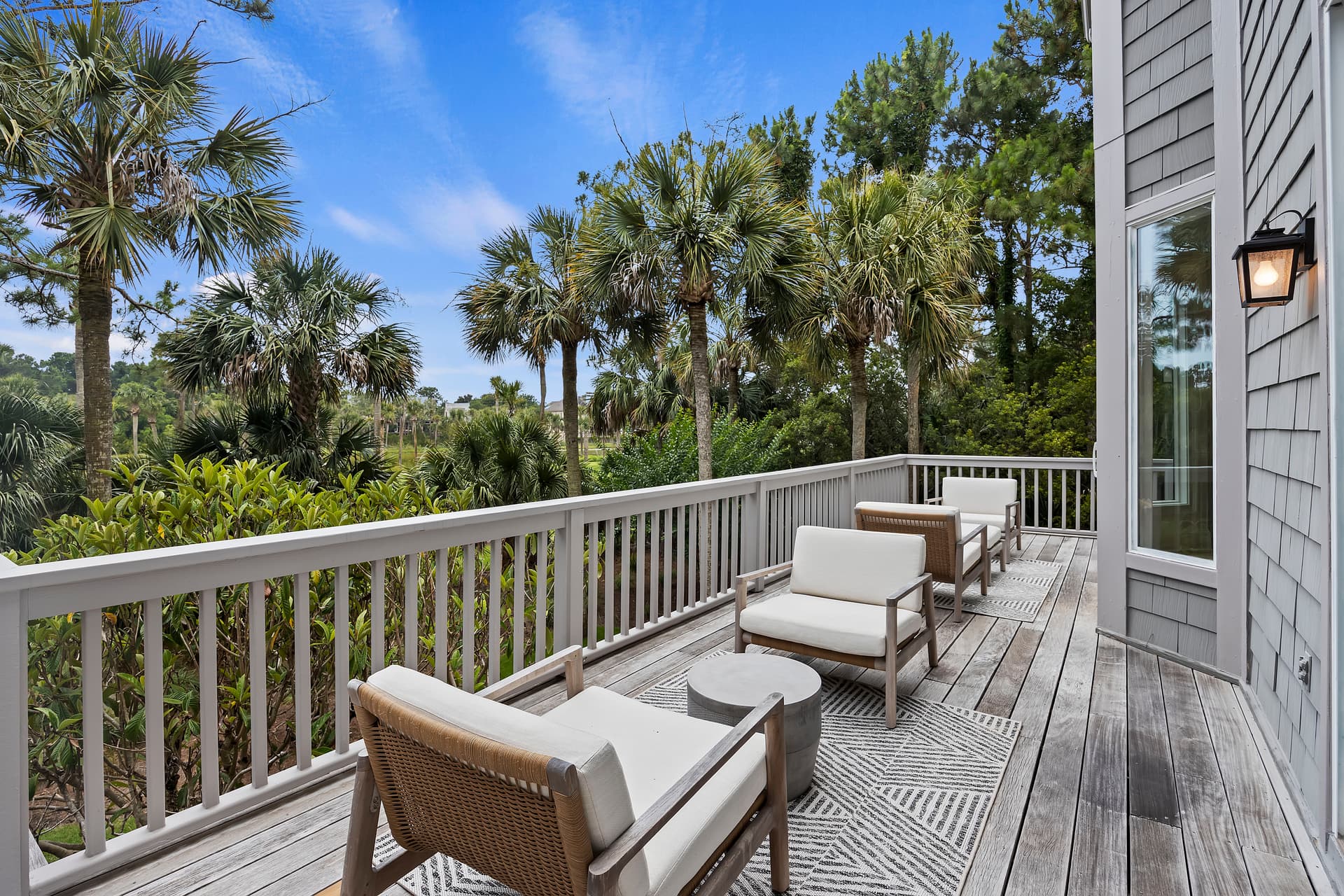 Piping Plover - Image 36