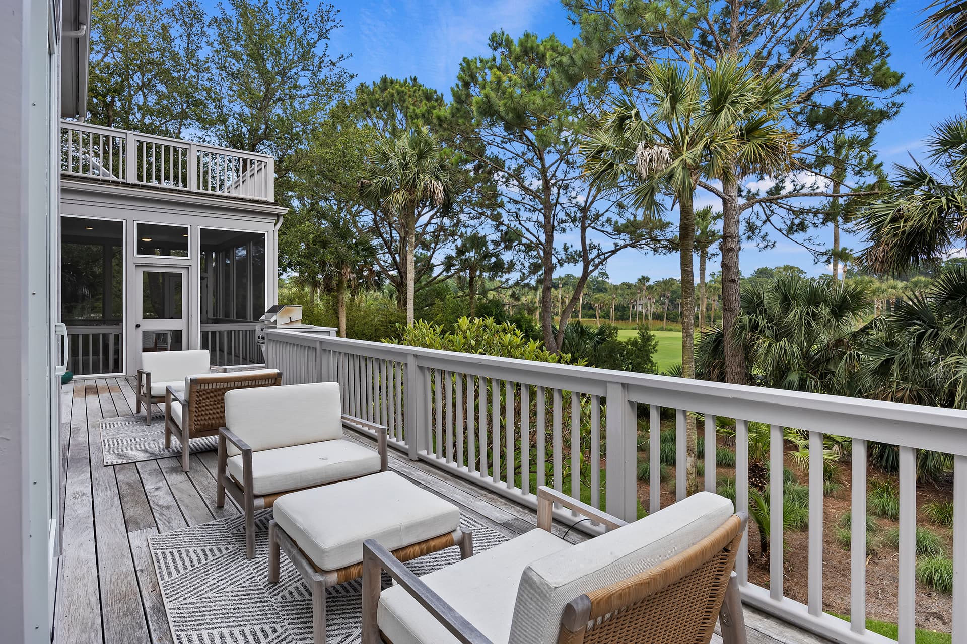 Piping Plover - Image 3