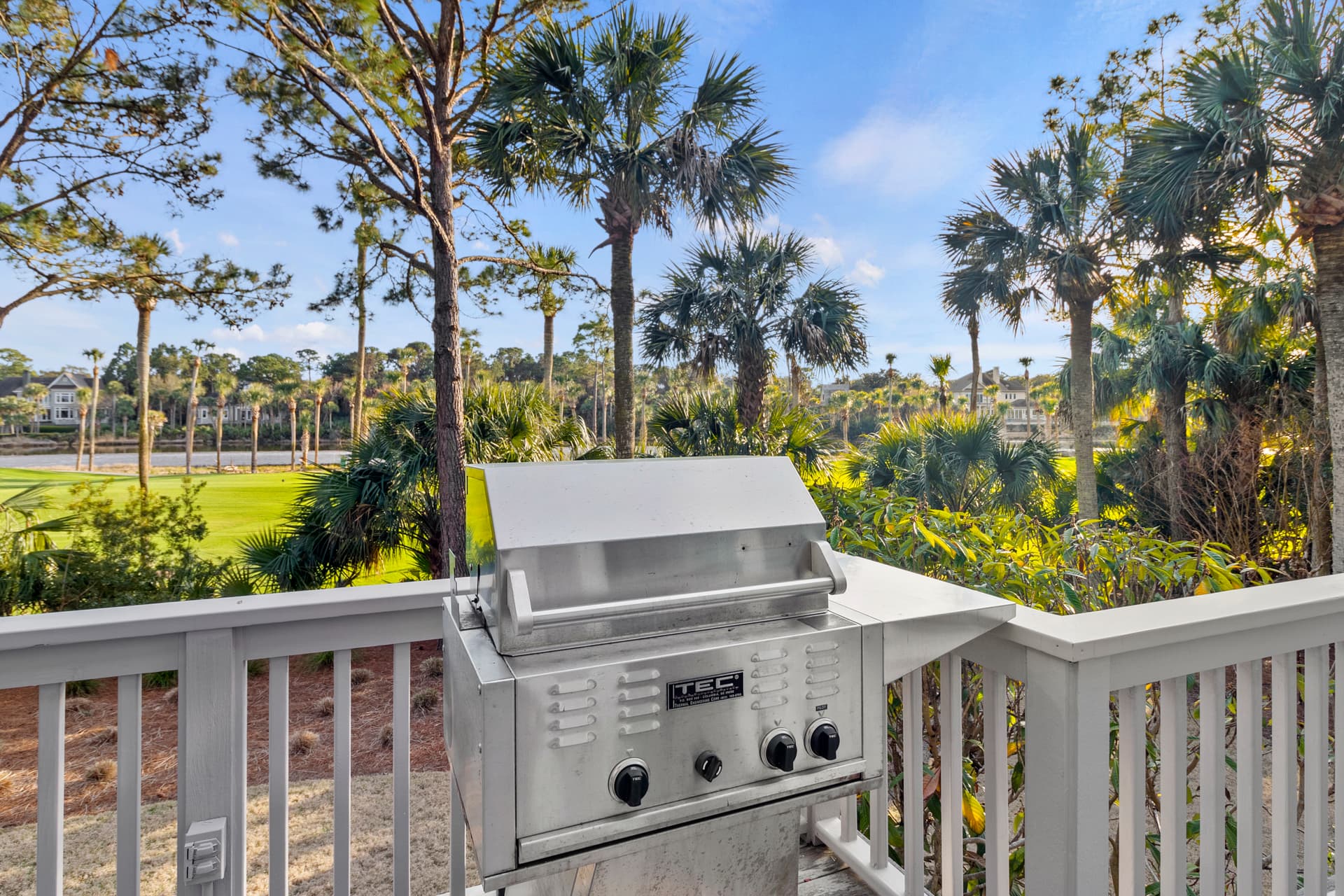 Piping Plover - Image 40
