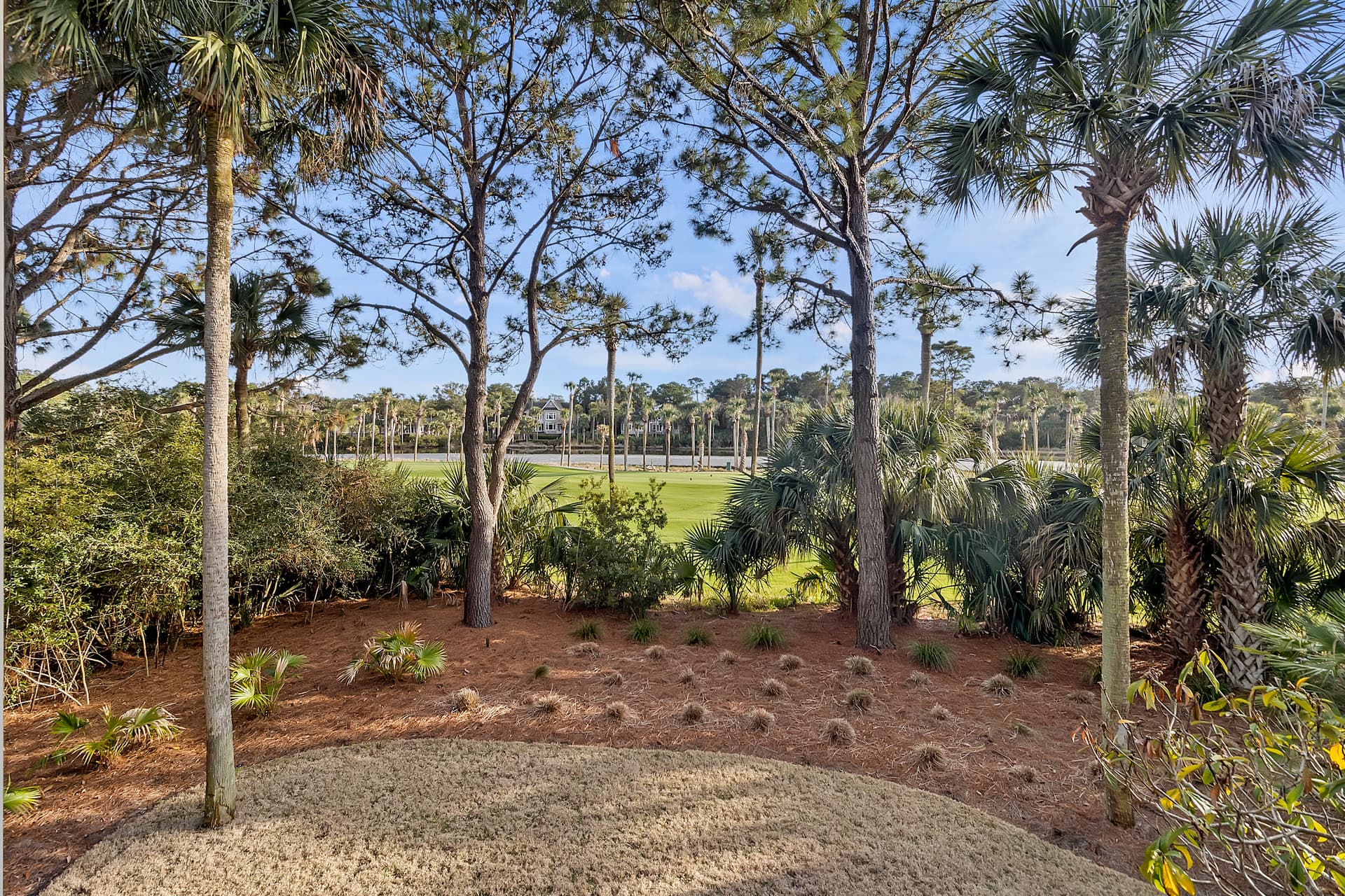 Piping Plover - Image 48