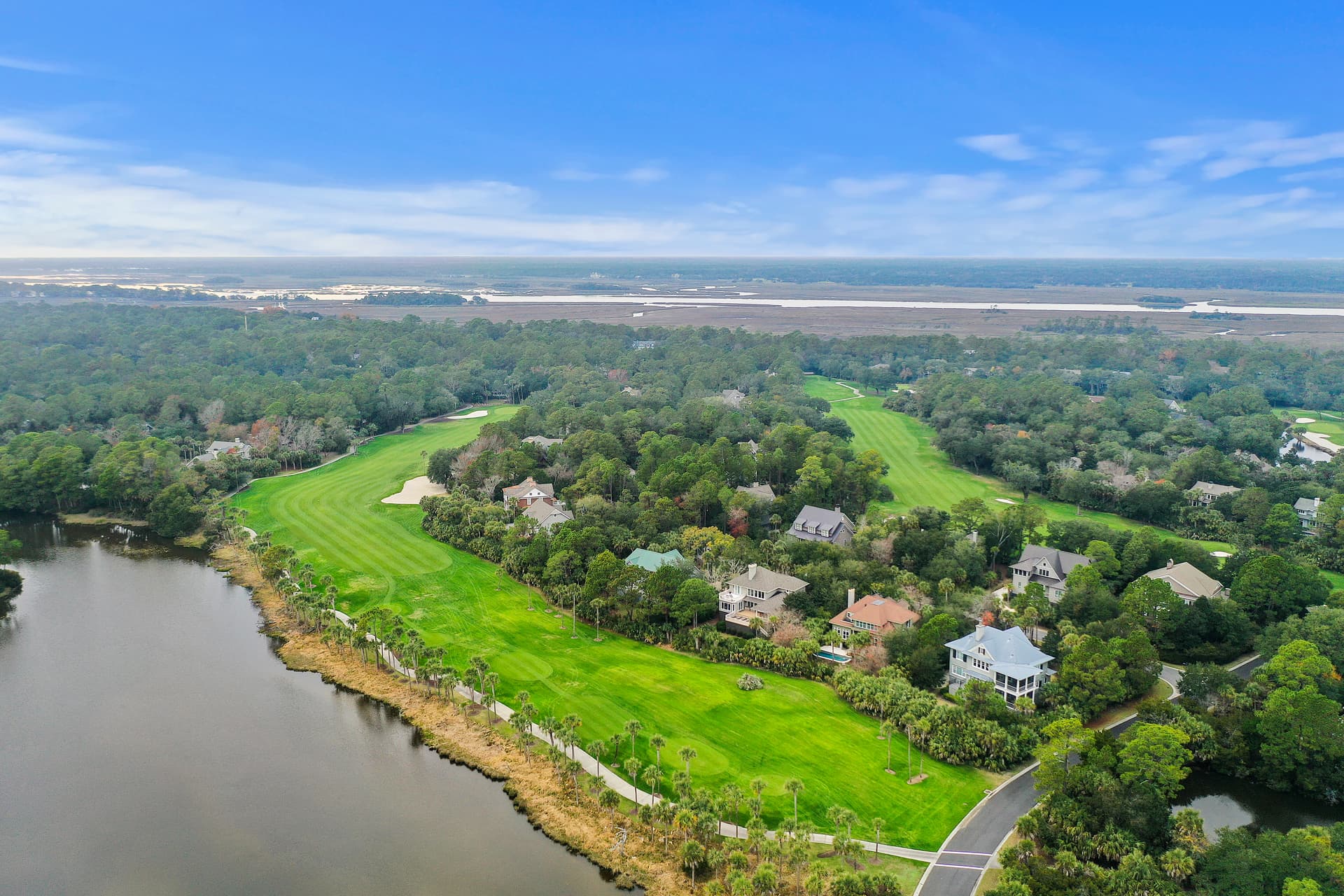 Piping Plover - Image 47