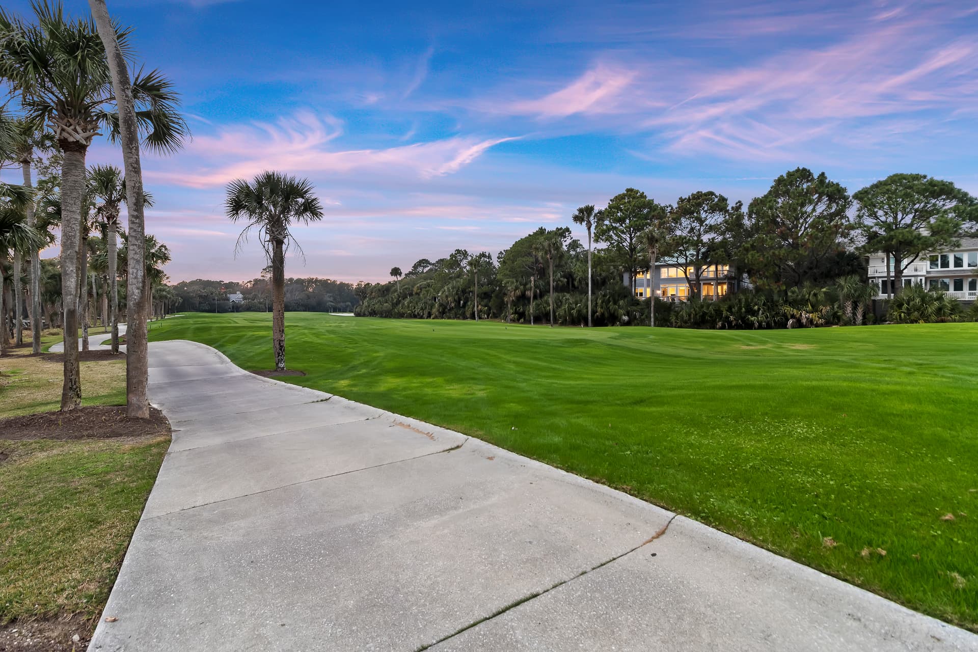 Piping Plover - Image 46