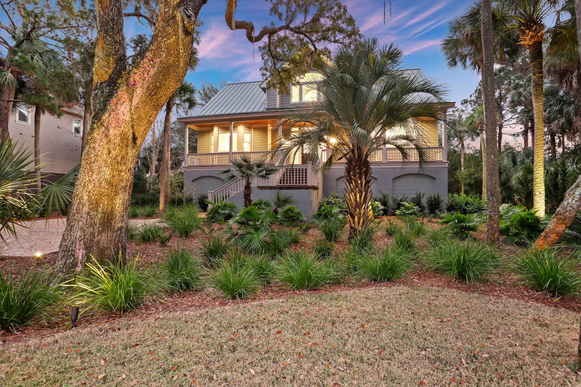 Piping Plover - Image 44