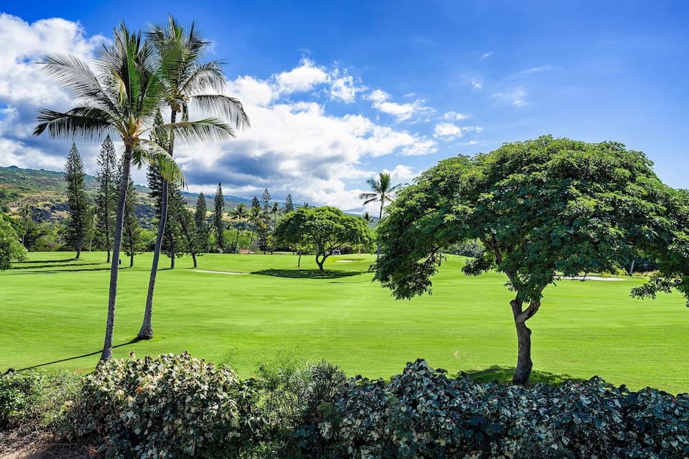 Holua Kai #11 - Image 42