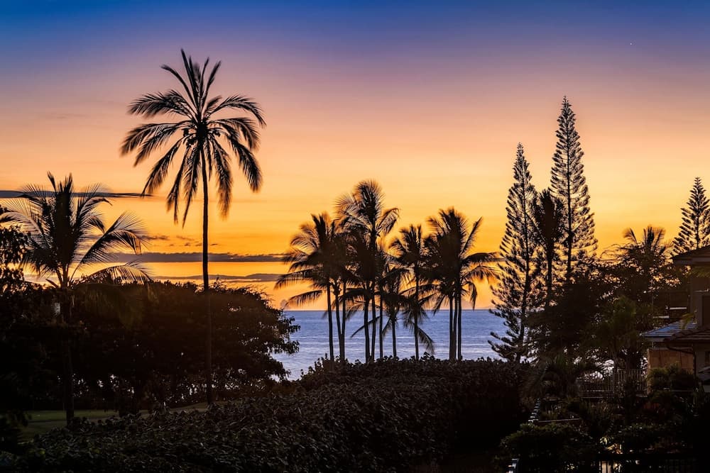 Holua Kai #11 - Image 43