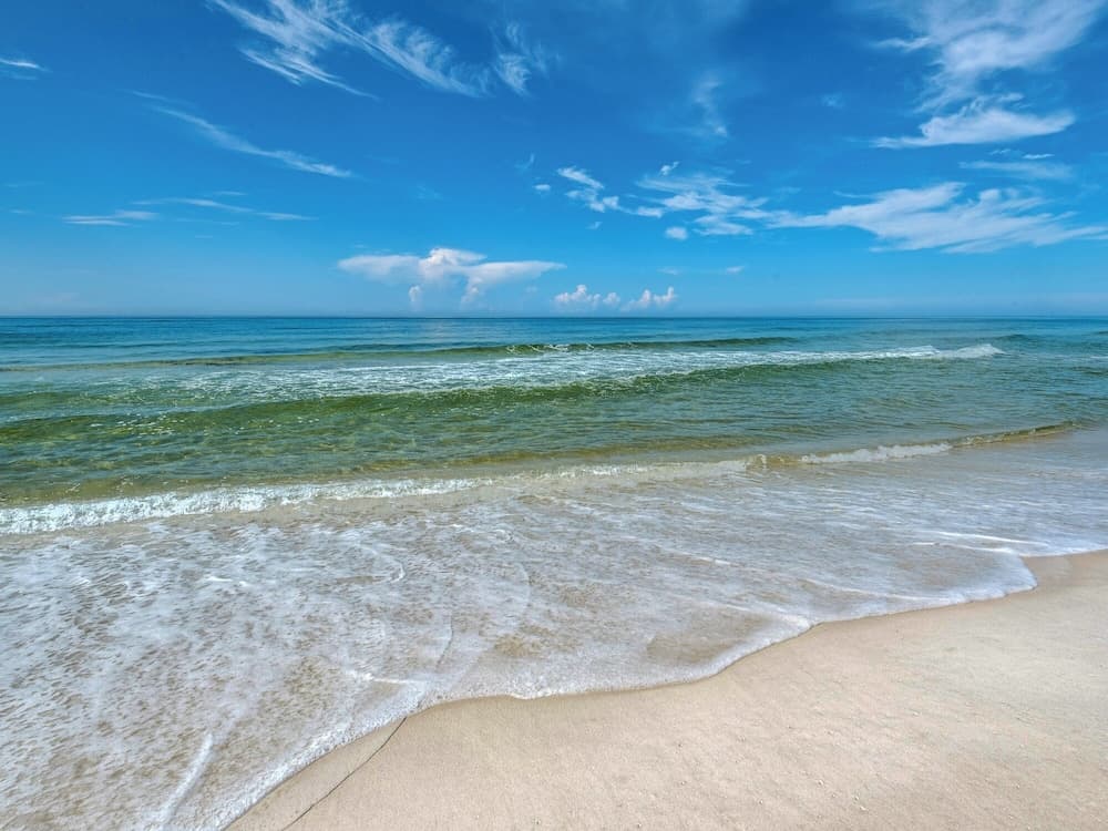 Blue Seravue - Image 52