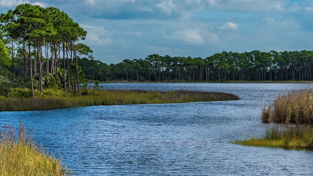 Sage Haven - Image 49