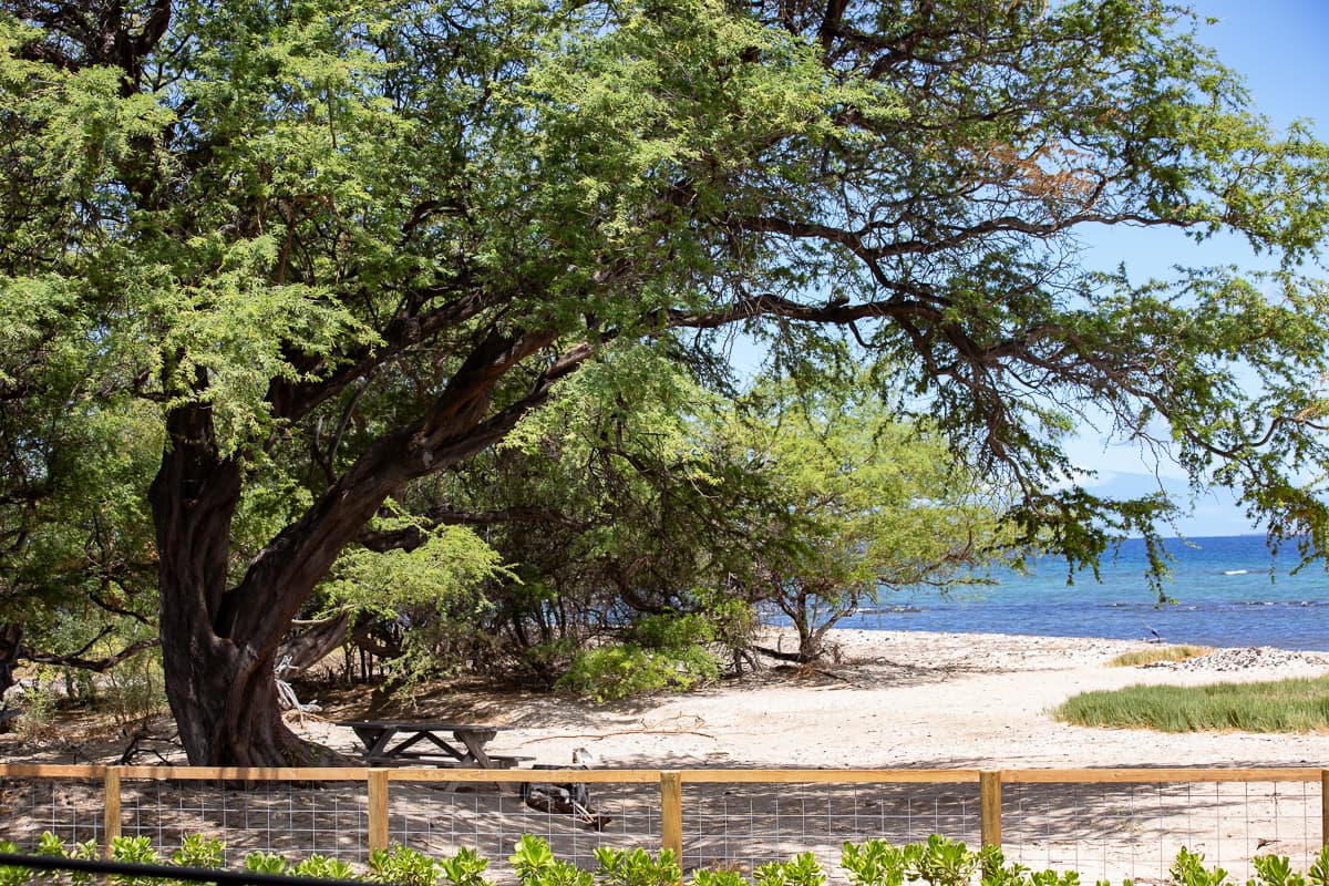 Puako Beach Getaway - Image 43