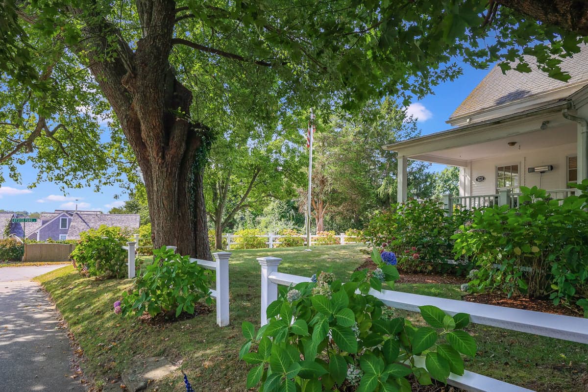 Queen's Landing - Image 35