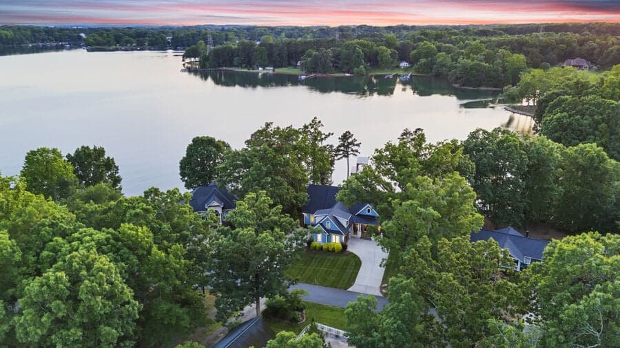 Mallard Vestige - Image 3