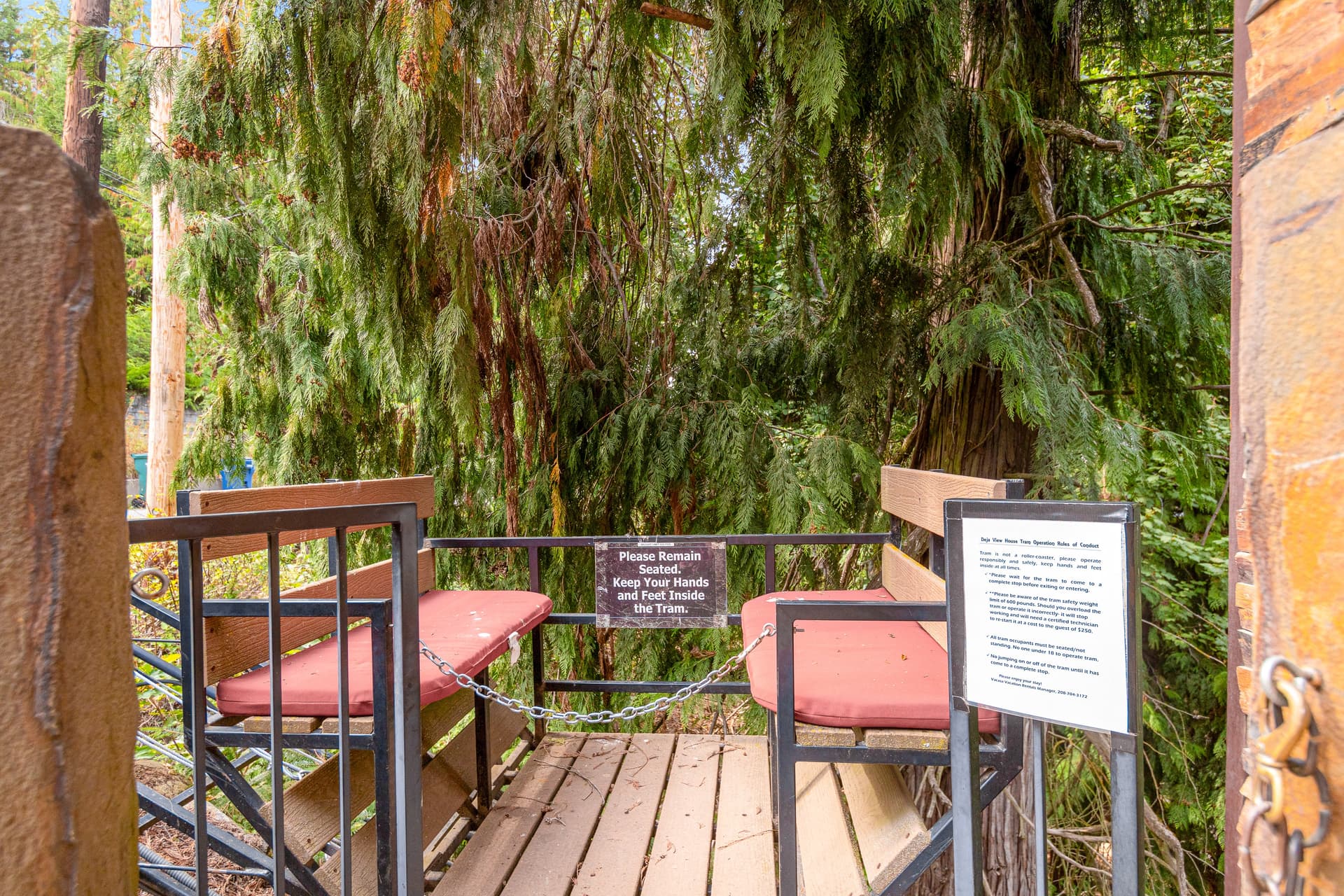 DeJa View - Image 51