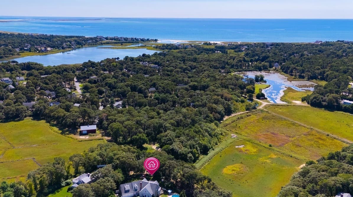 Chatham Bog - Image 40