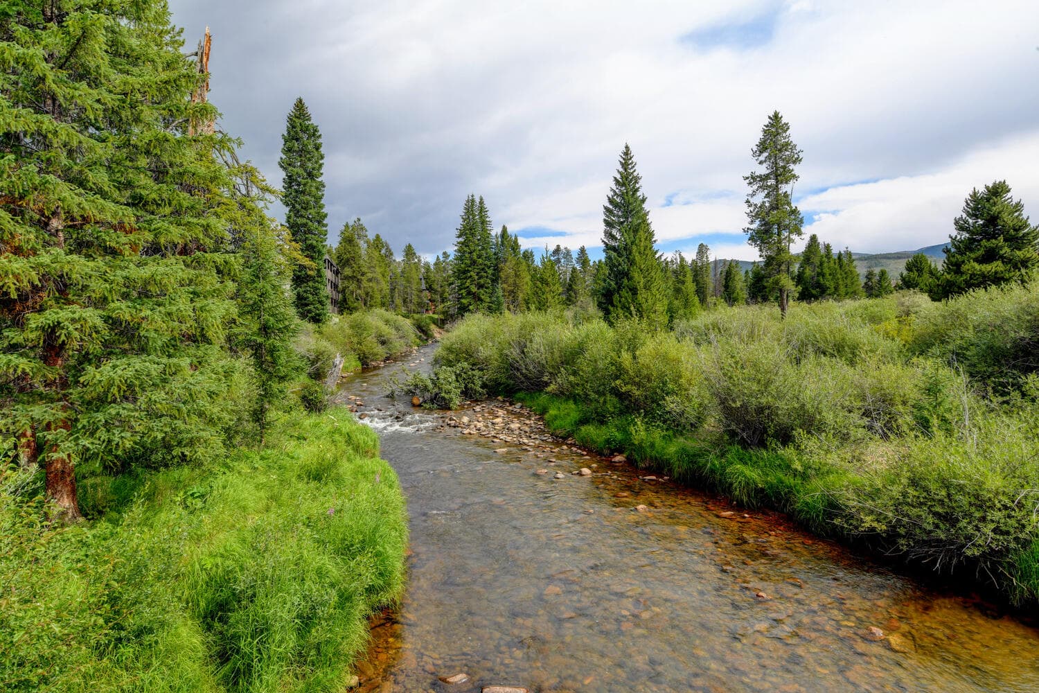 Rendezvous Mountain #44 - Image 22