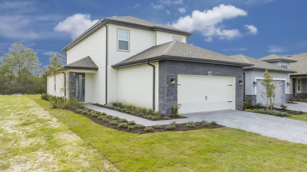 Playful Palms - Image 2