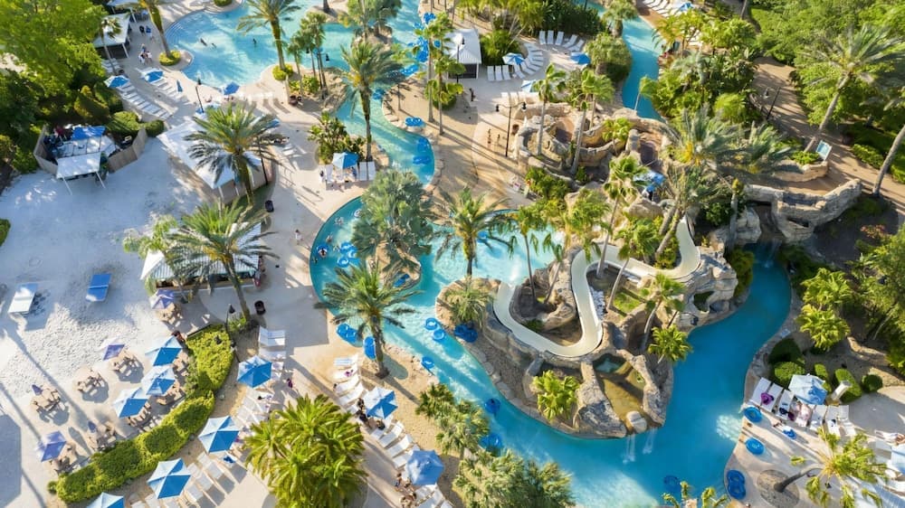 Playful Palms - Image 60