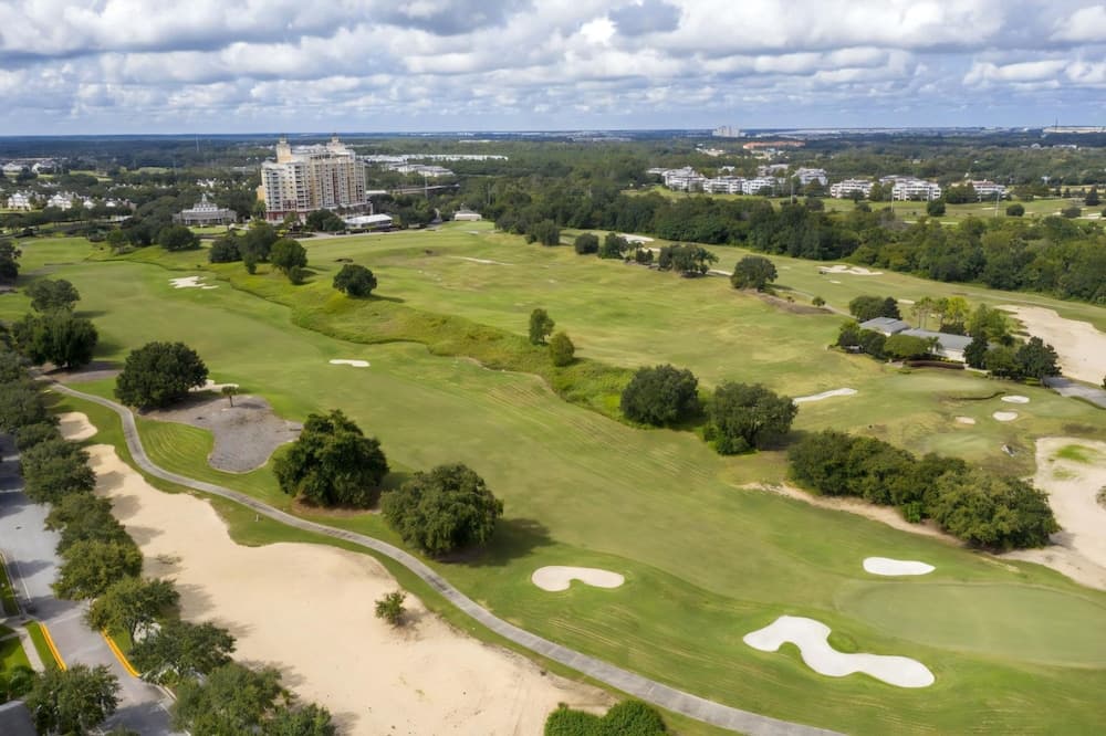 Playful Palms - Image 62