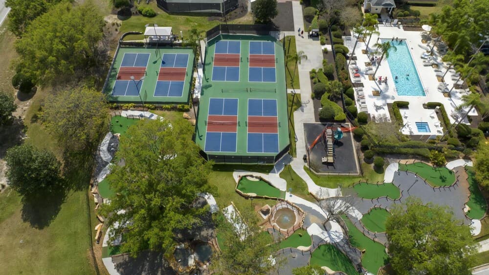 Playful Palms - Image 64