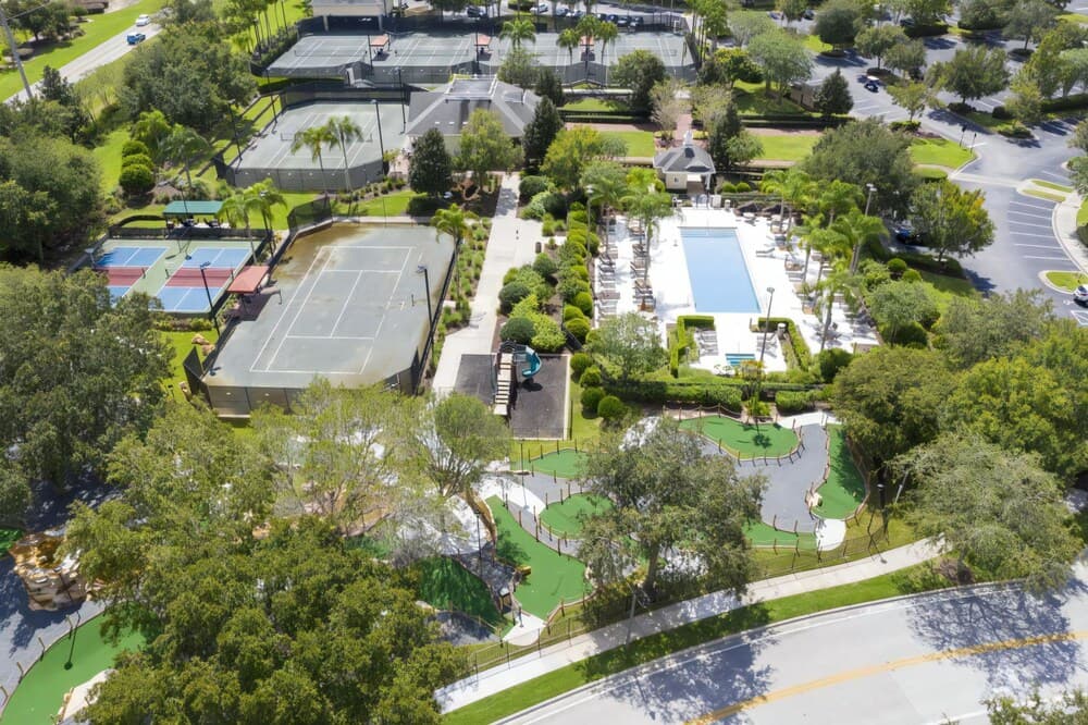 Playful Palms - Image 65