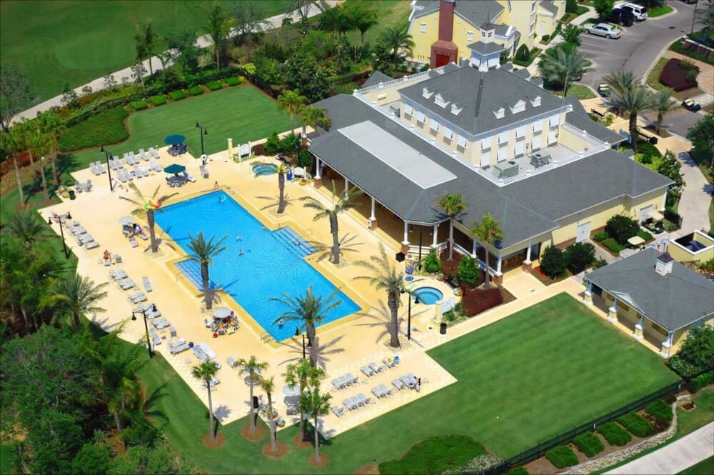 Playful Palms - Image 69