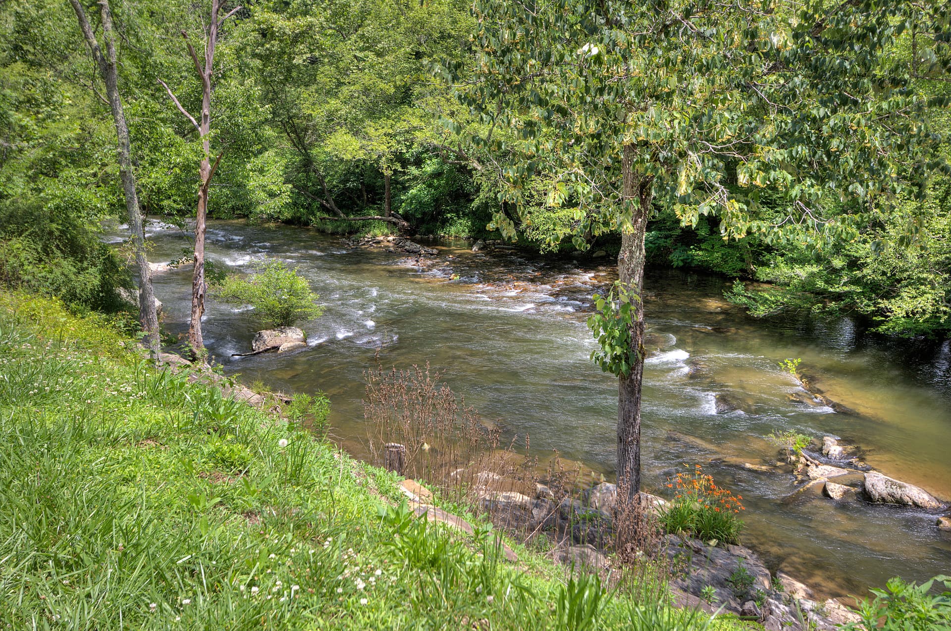 River Sounds - Image 5