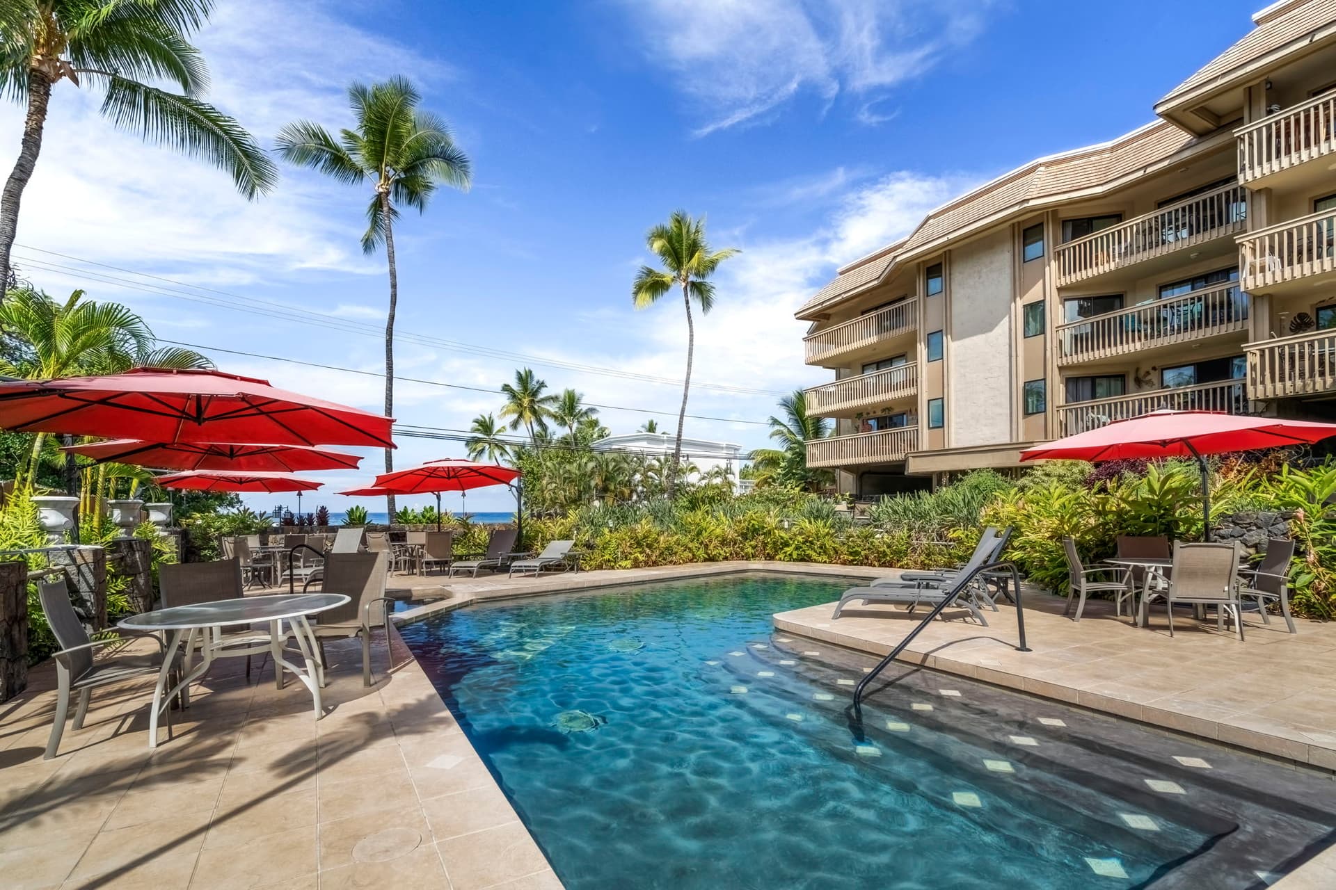 Royal Kahili #401A - Image 33