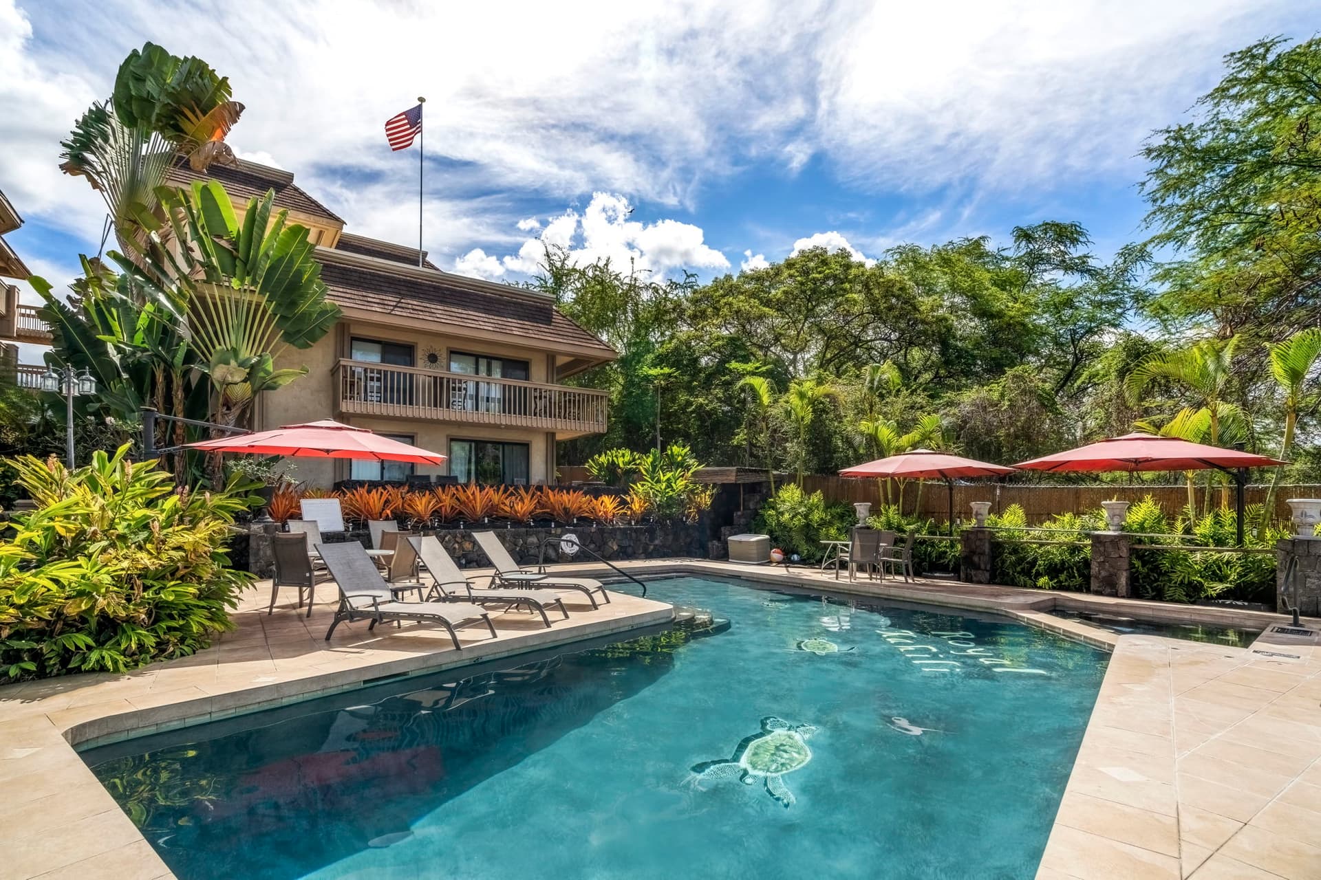 Royal Kahili #401A - Image 3